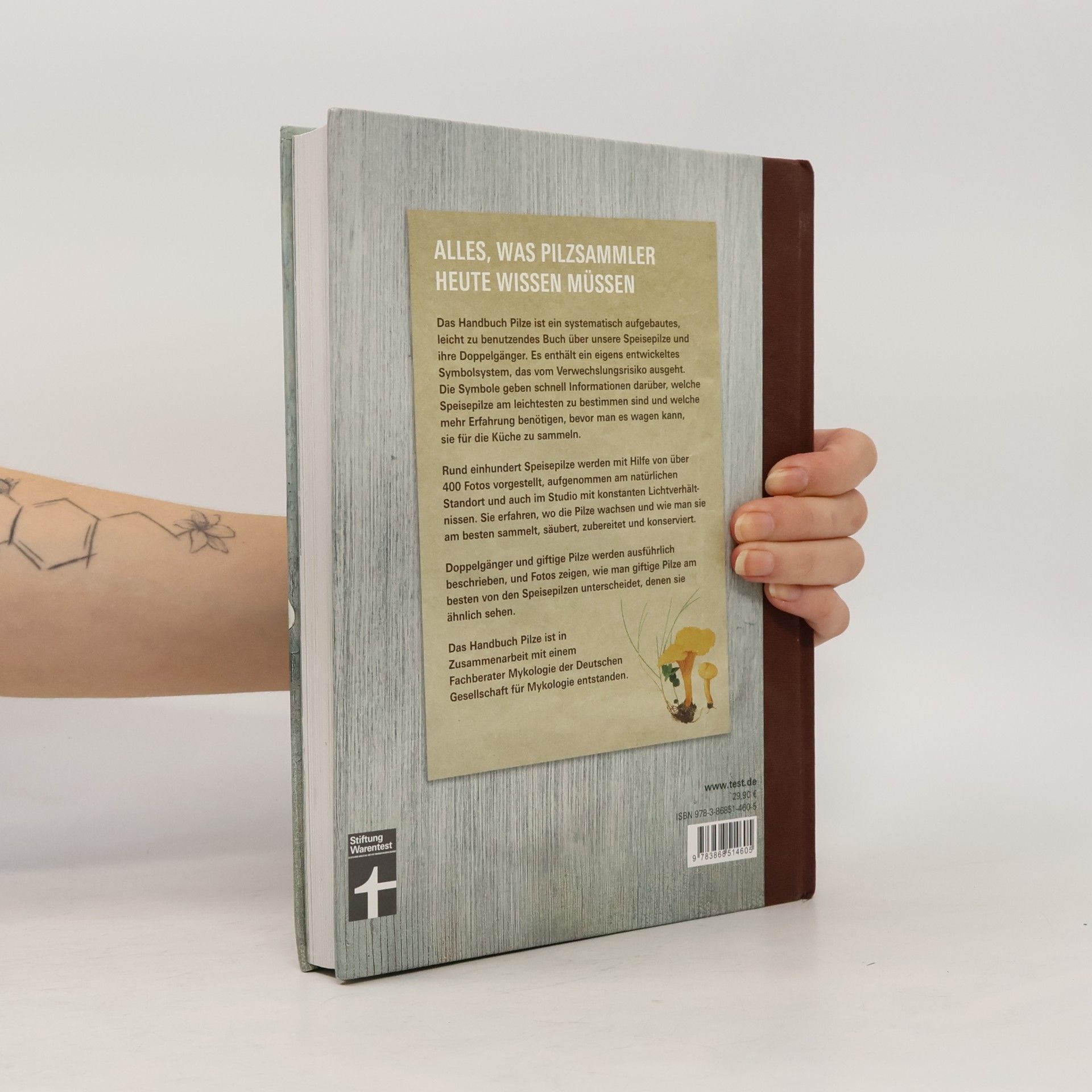 Pelle Holmberg Handbuch Pilze