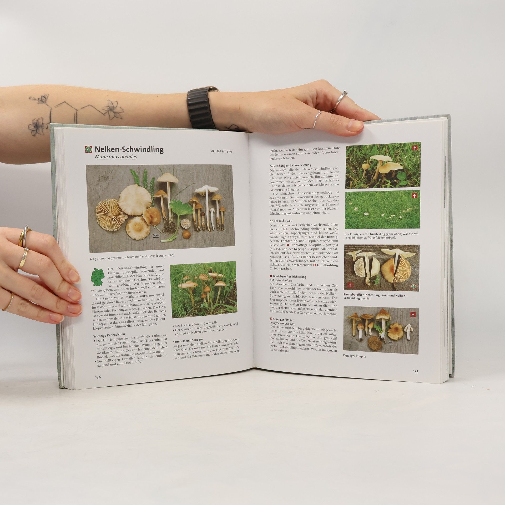 Pelle Holmberg Handbuch Pilze