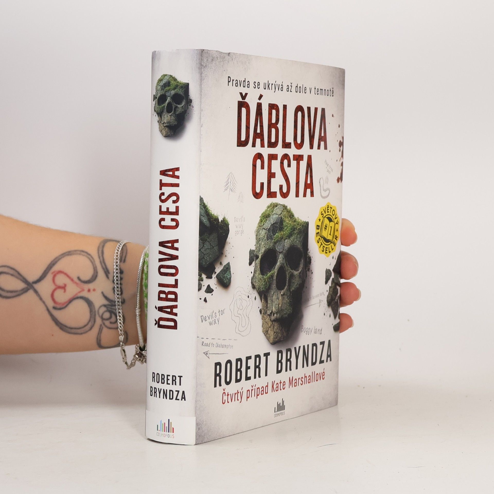 Robert Bryndza Ďáblova cesta