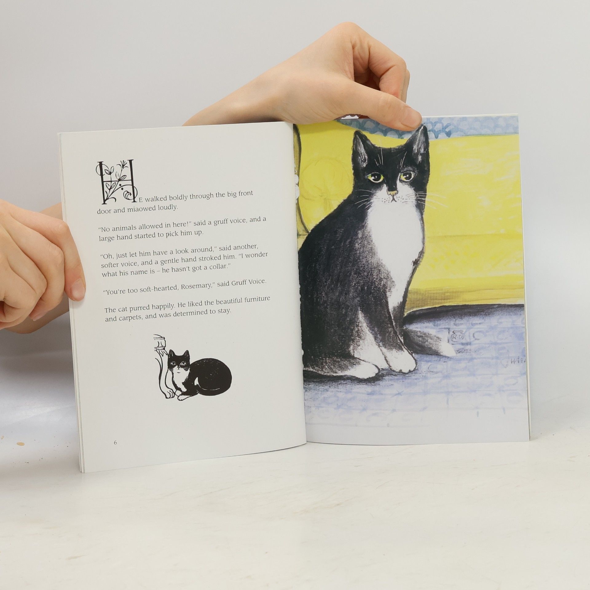 Judy Pennington George the Pavilion Cat