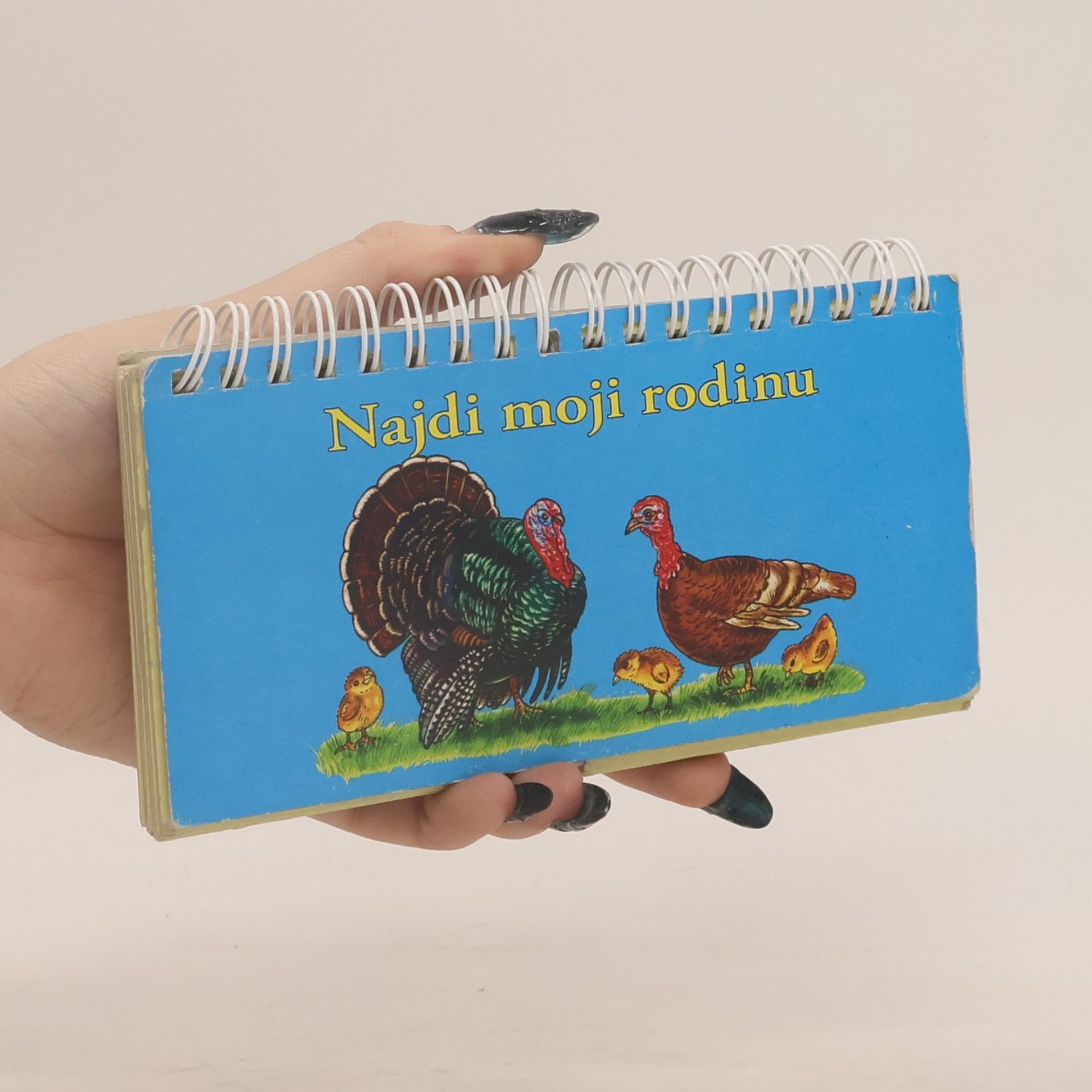 Antonín Šplíchal Najdi moji rodinu