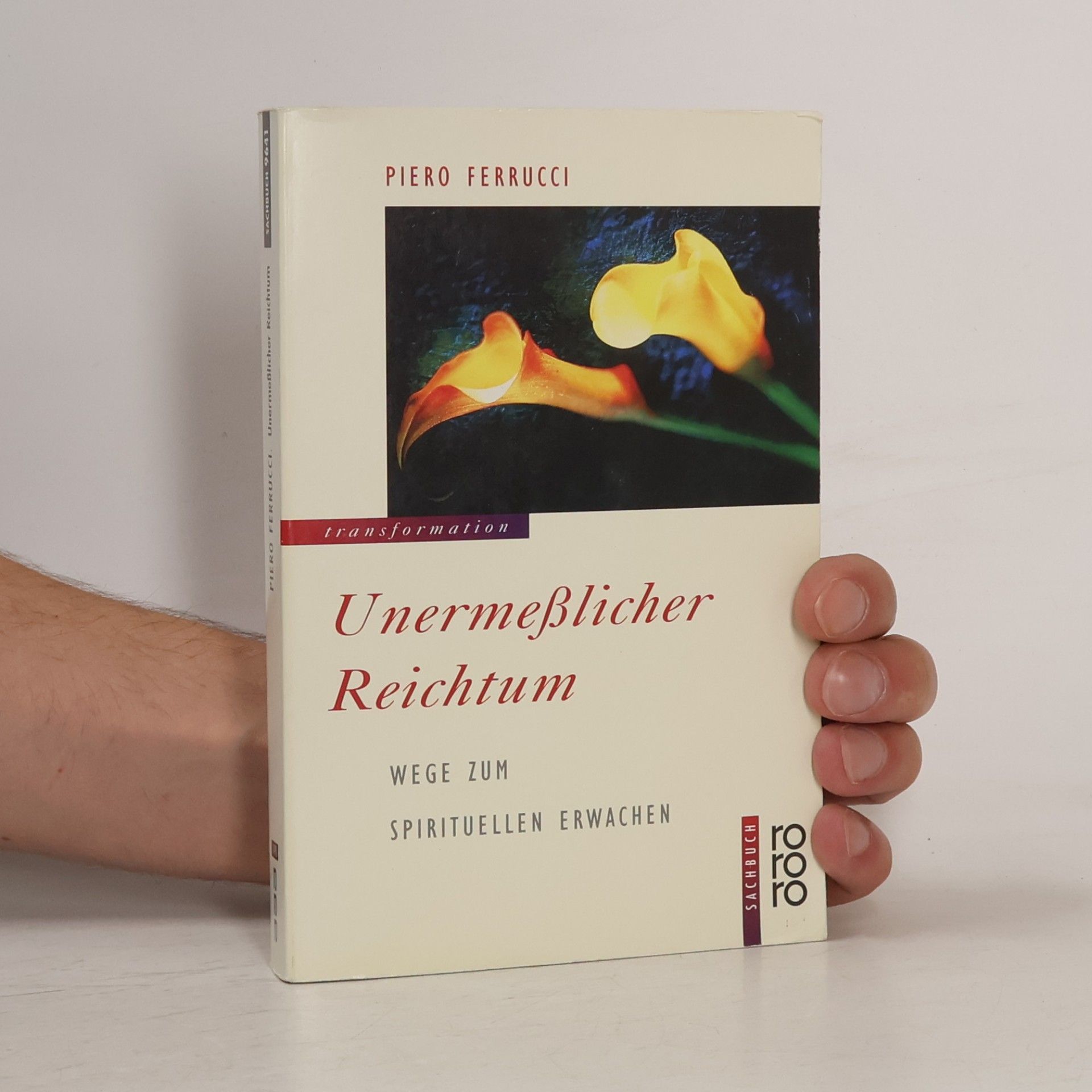 Piero Ferrucci Unermesslicher Reichtum