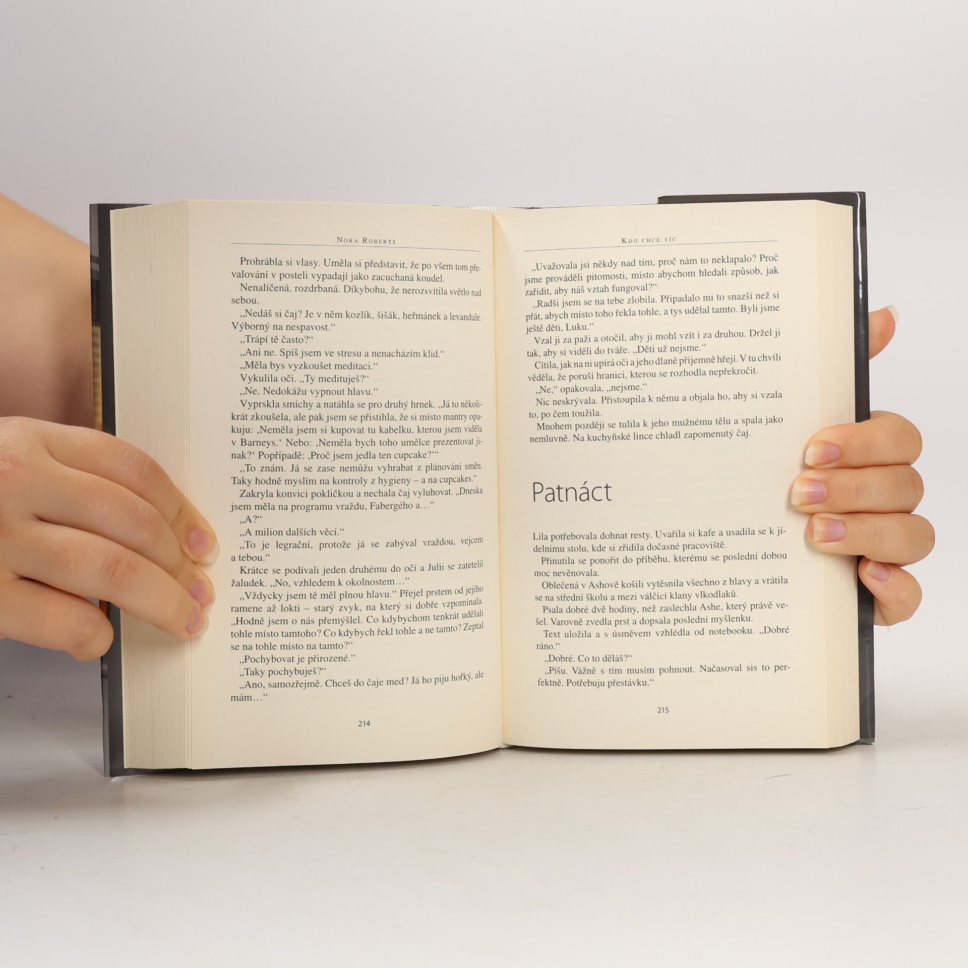 Nora Roberts Kdo chce víc