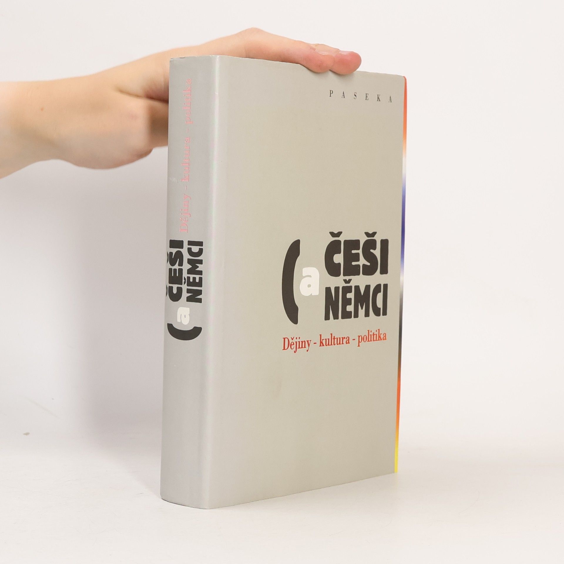 Češi a Němci. Dějiny, kultura, politika