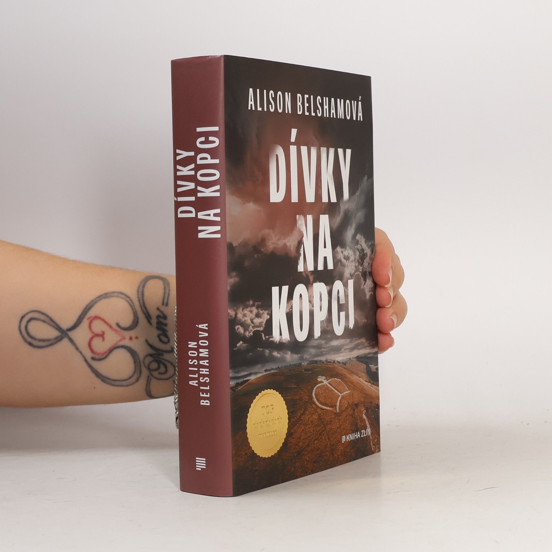 Alison Belsham Dívky na kopci