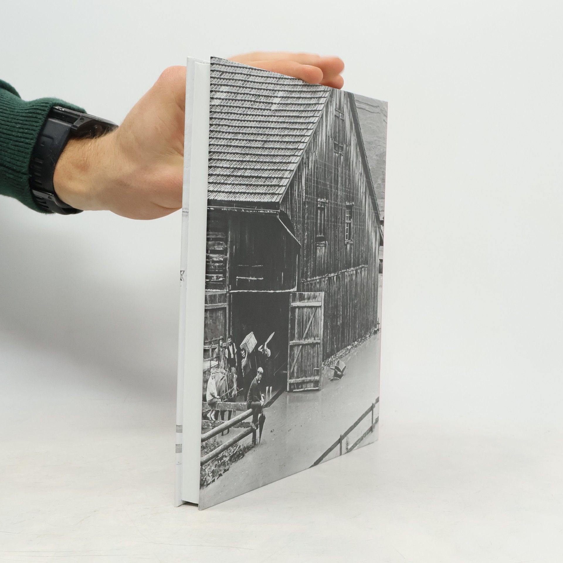 Ulrike B. Gollnick Mitteilungen des Historischen Vereins des Kantons Schwyz 115