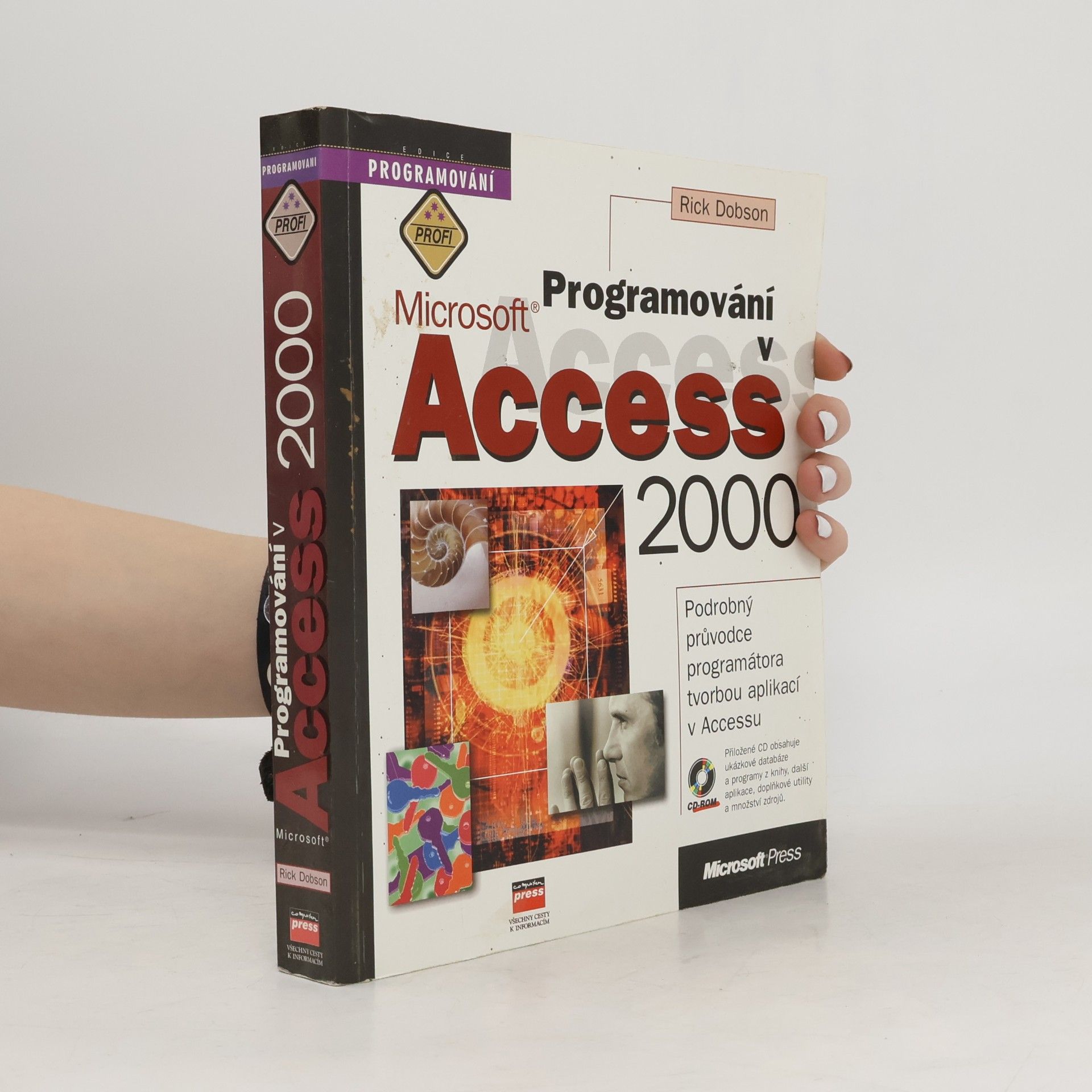 Rick Dobson Programování v Microsoft Access 2000