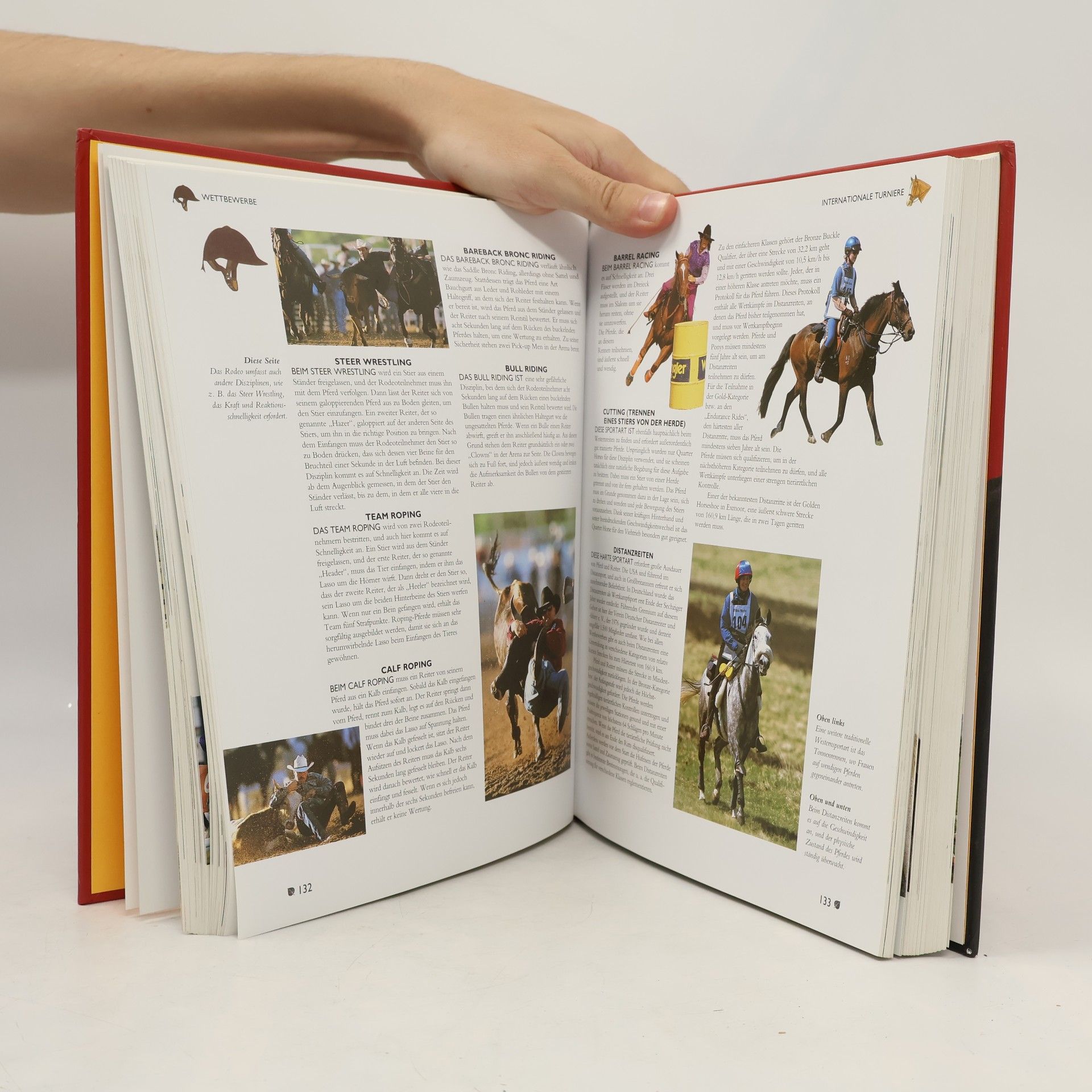 Tam Pickeral Pferde & Ponys