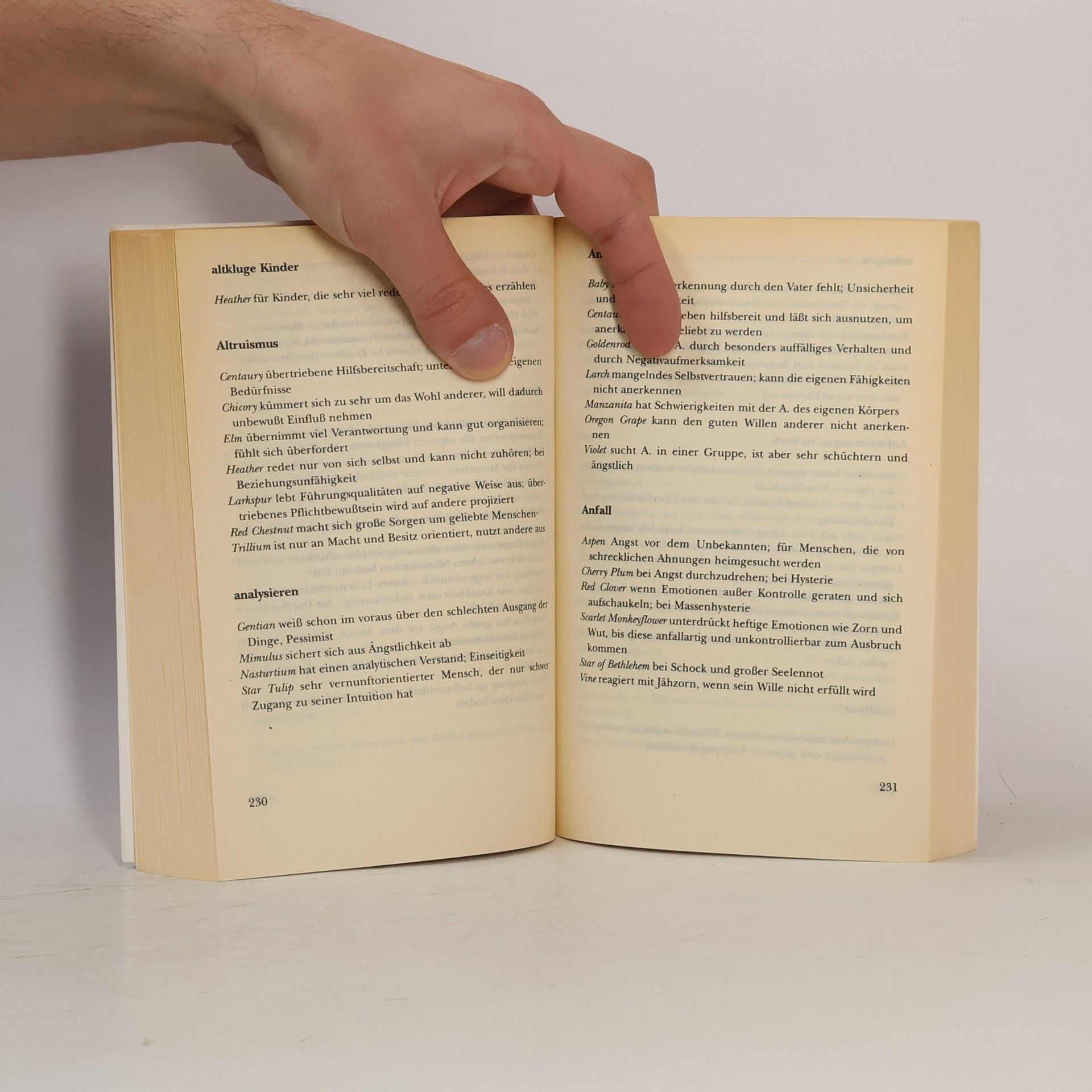 Anette Frankenberger Das grosse Buch der Blütenessenzen