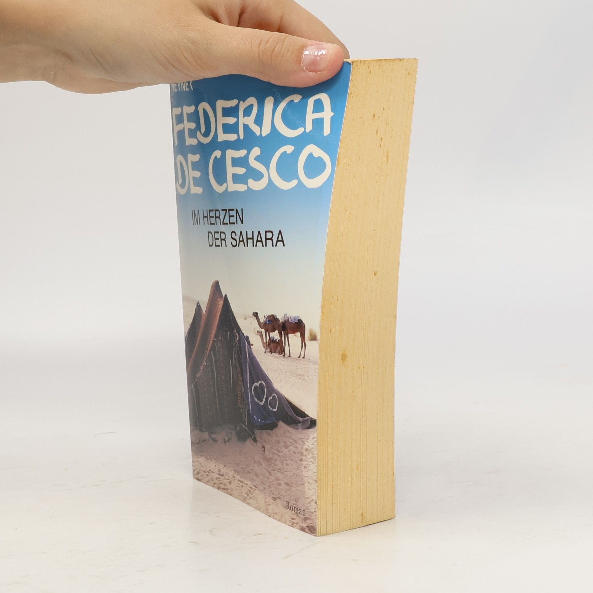 Federica de Cesco Im Herzen der Sahara