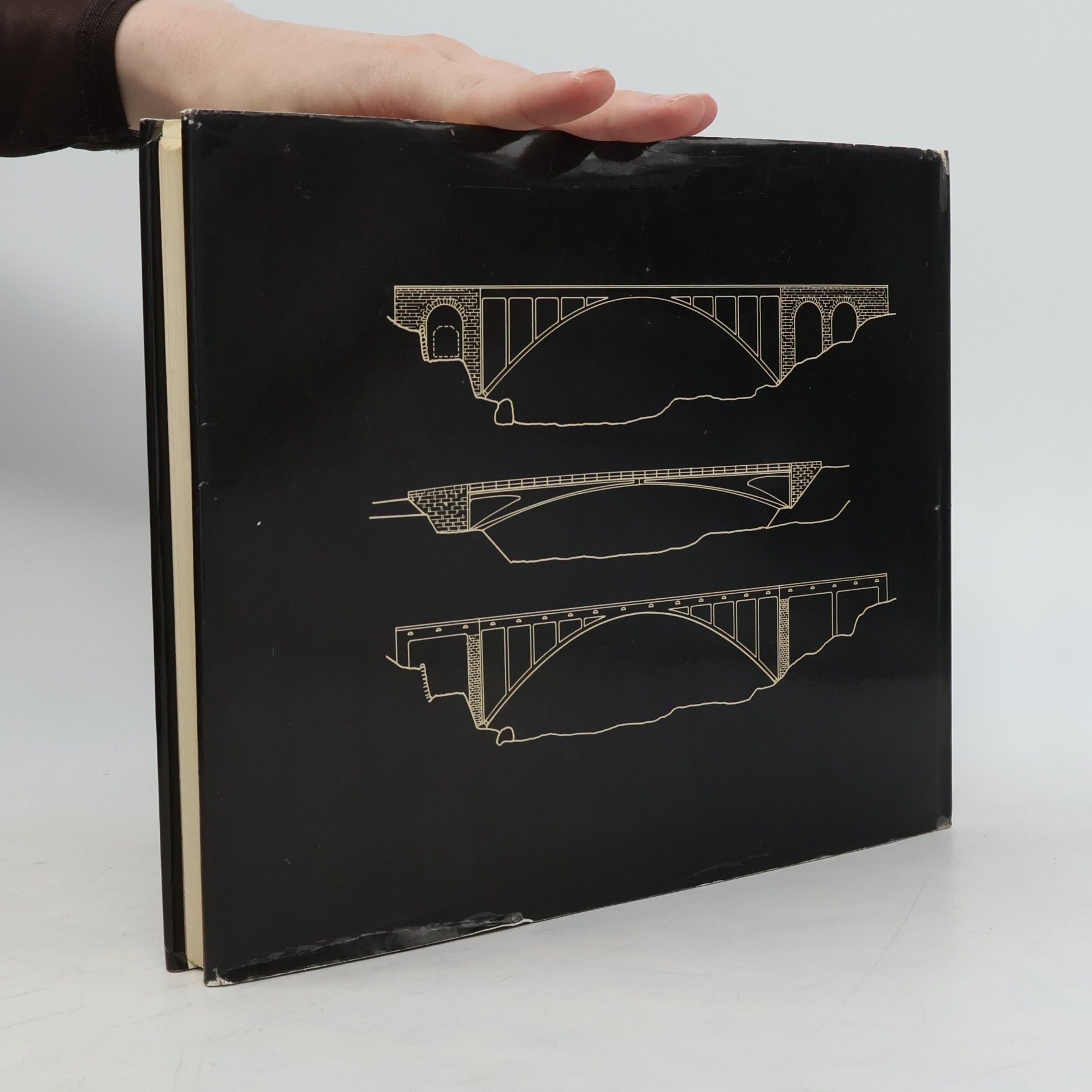 David P. Billington Robert Maillart's Bridges