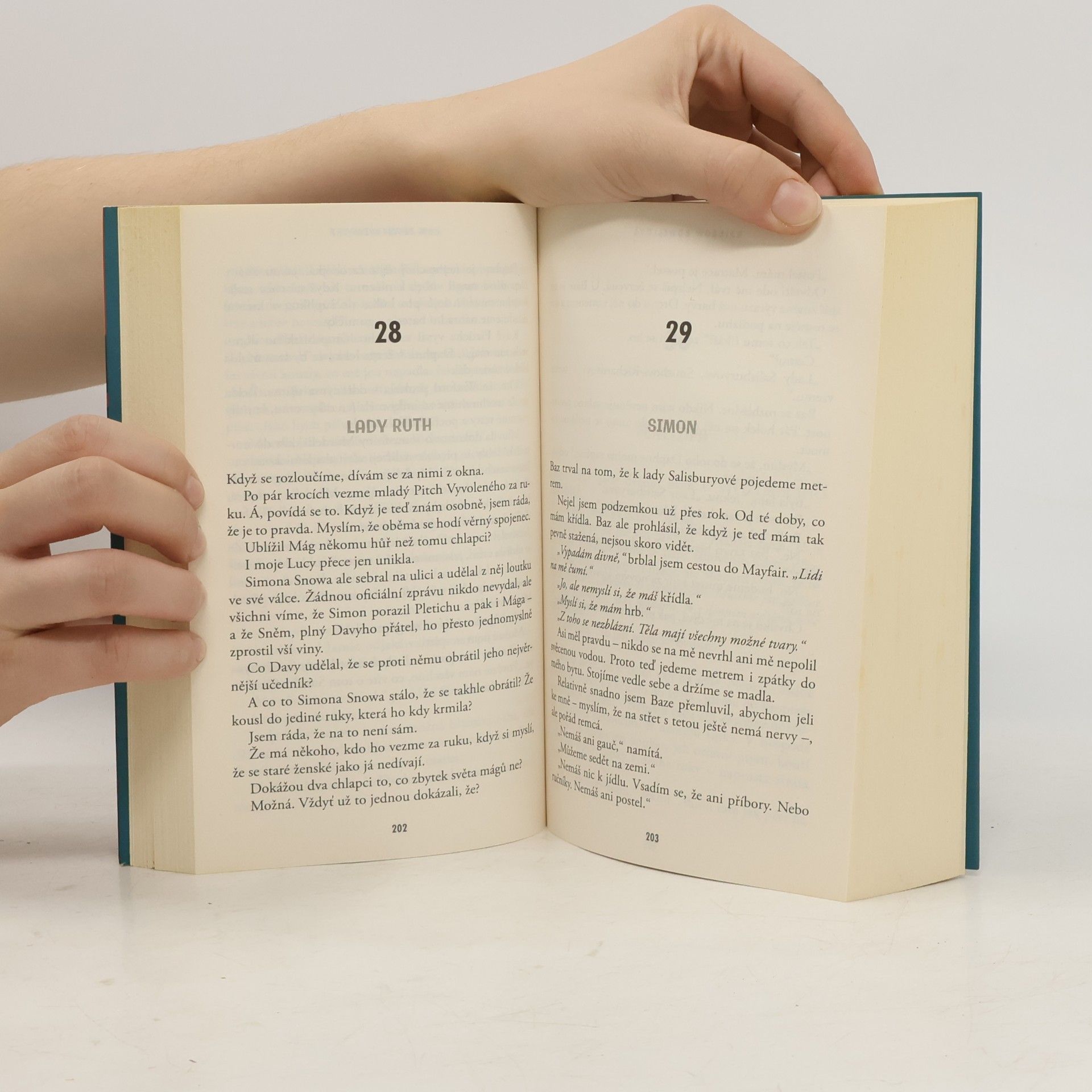 Rainbow Rowell Kam tě vítr zavane
