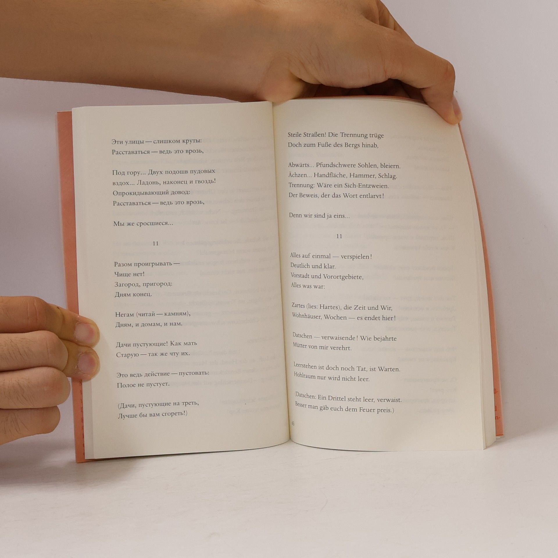 Marina Cvetaeva Poem vom Ende / Neujahrsbrief