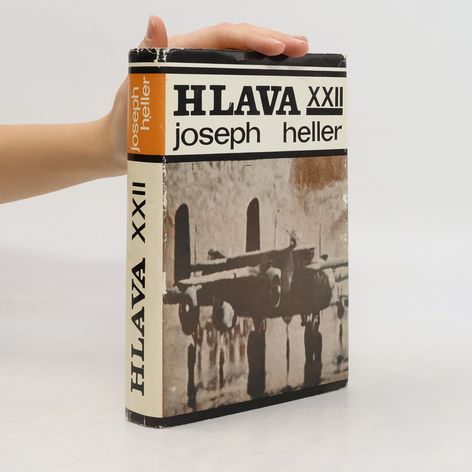 HLAVA XXII