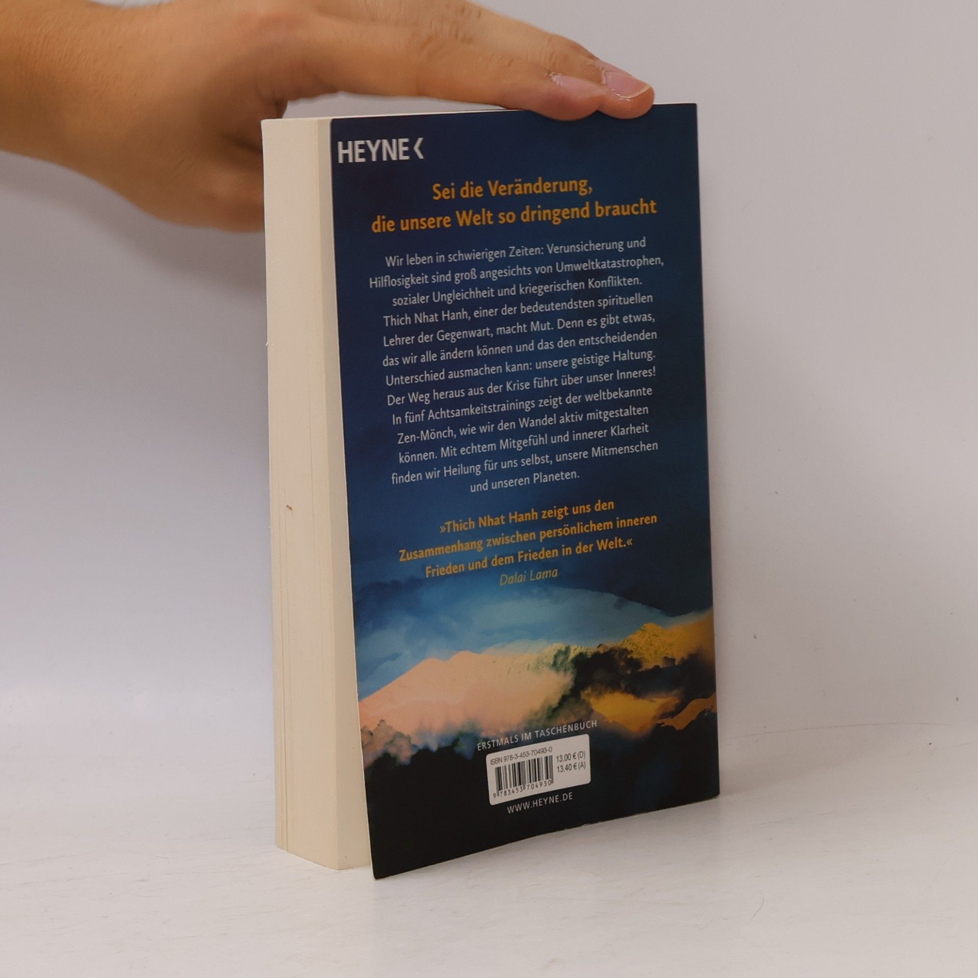 Thích Nhất Hạnh Zen und die Kunst, die Welt zu retten