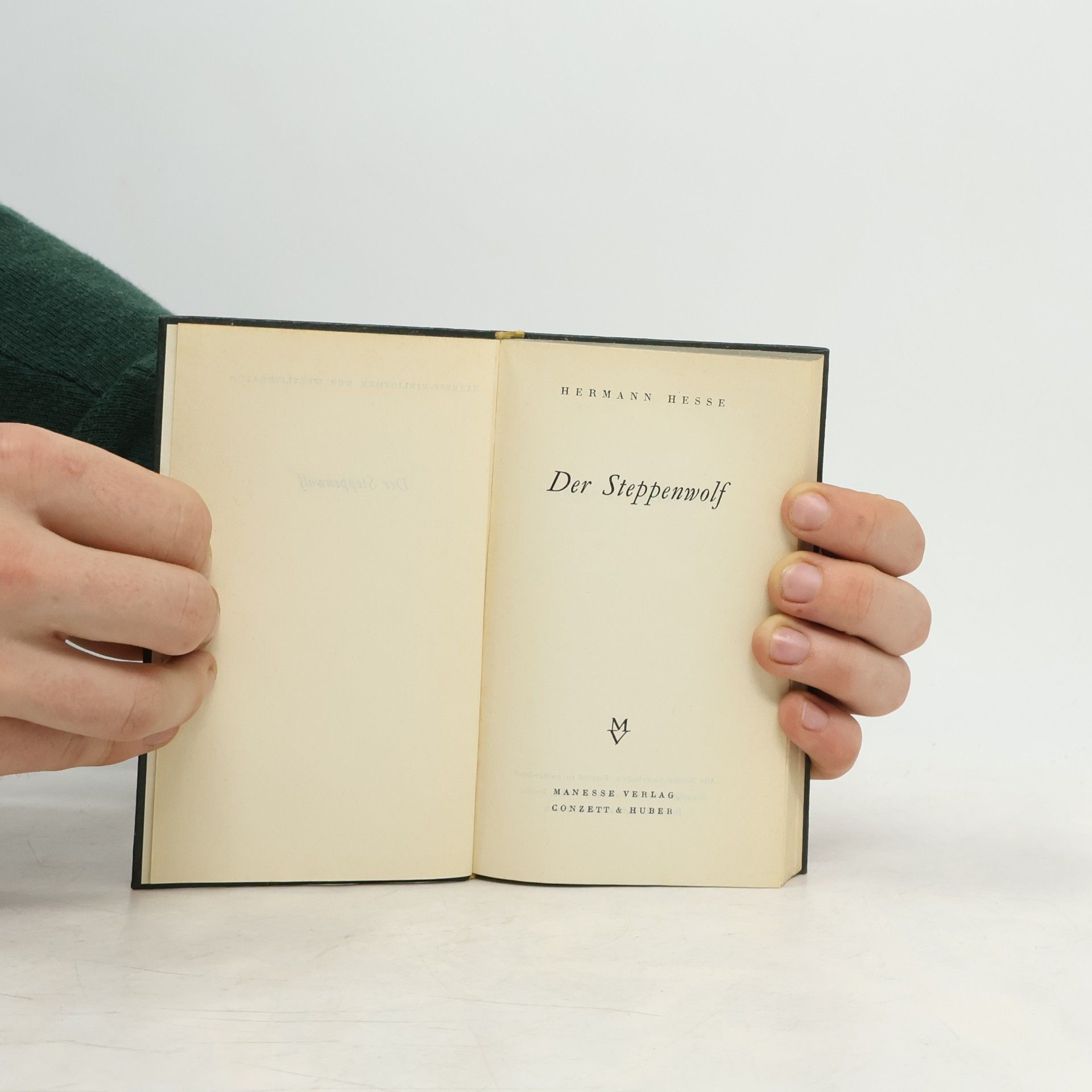 Hesse DER STEPPENWOLF