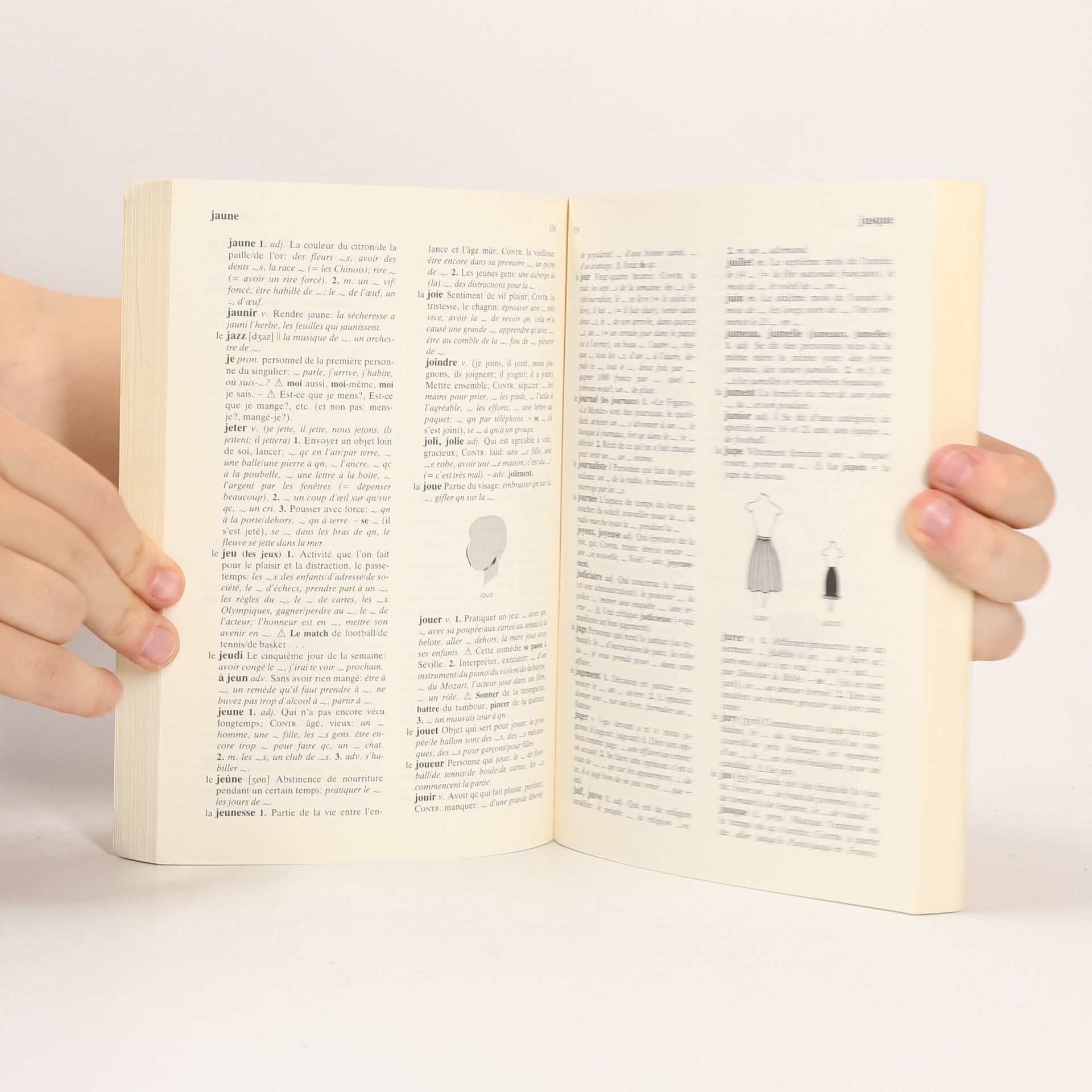 Diethard Lübke Dictionnaire scolaire du Francais