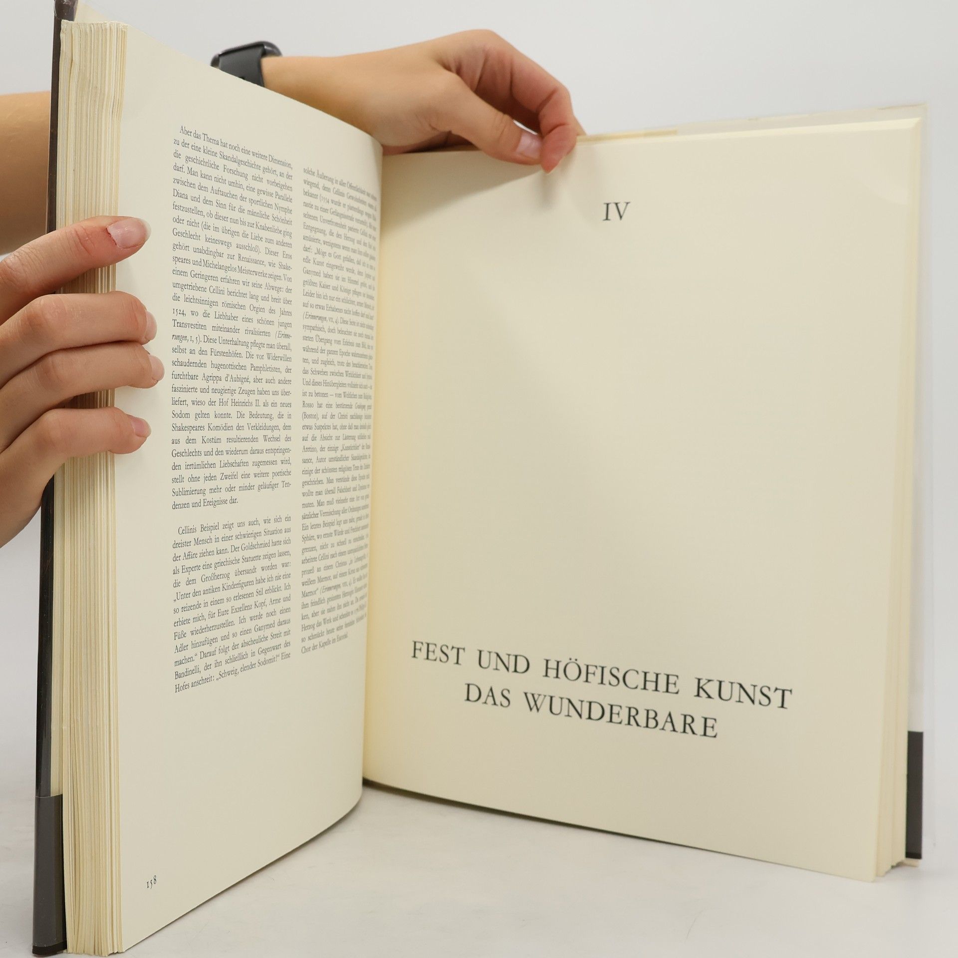 kolektiv Die Krise Der Renaissance