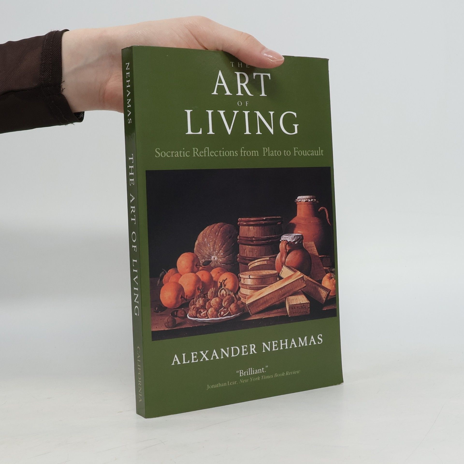 Alexander Nehamas The Art of Living