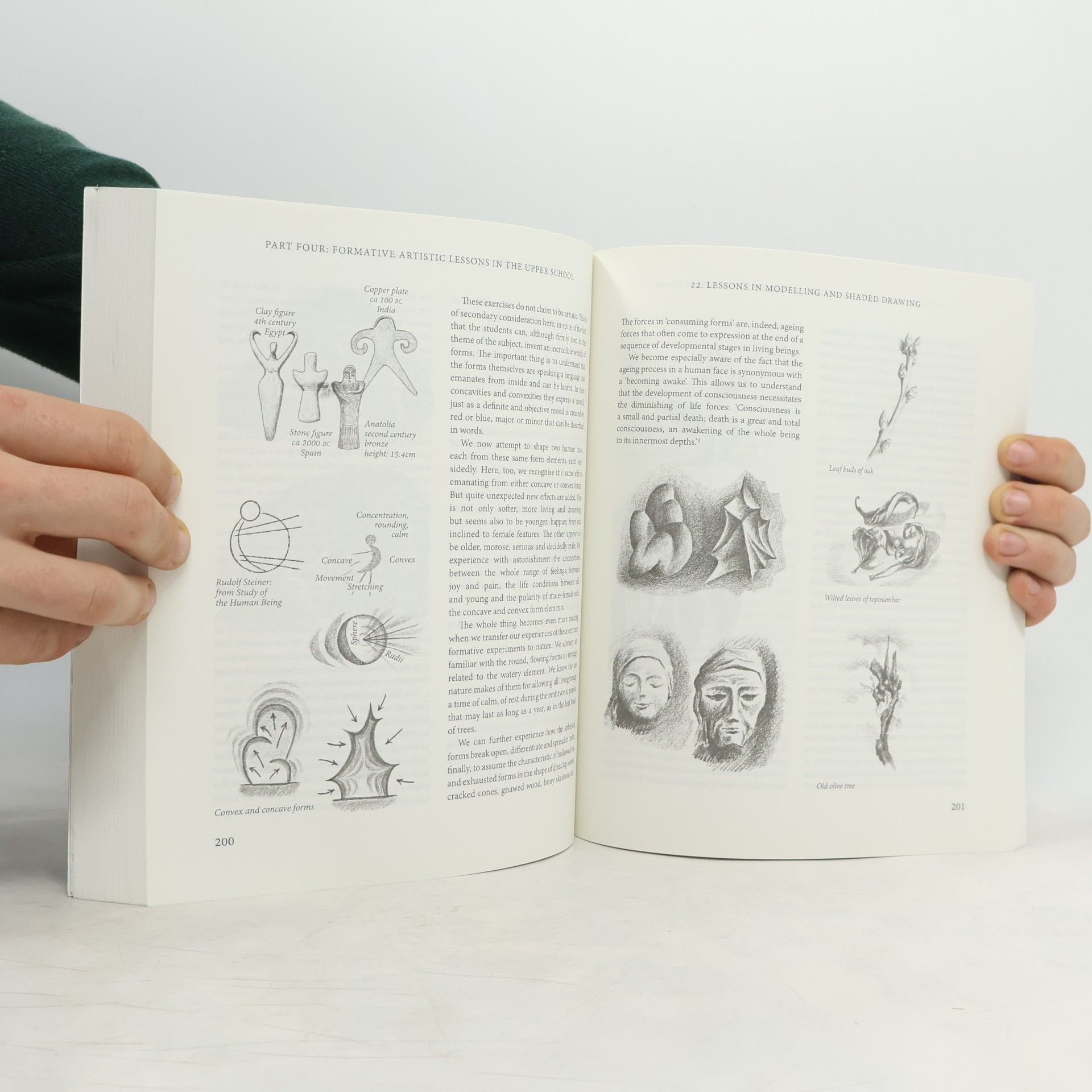 Michael Martin Arts and Crafts in Waldorf Schools