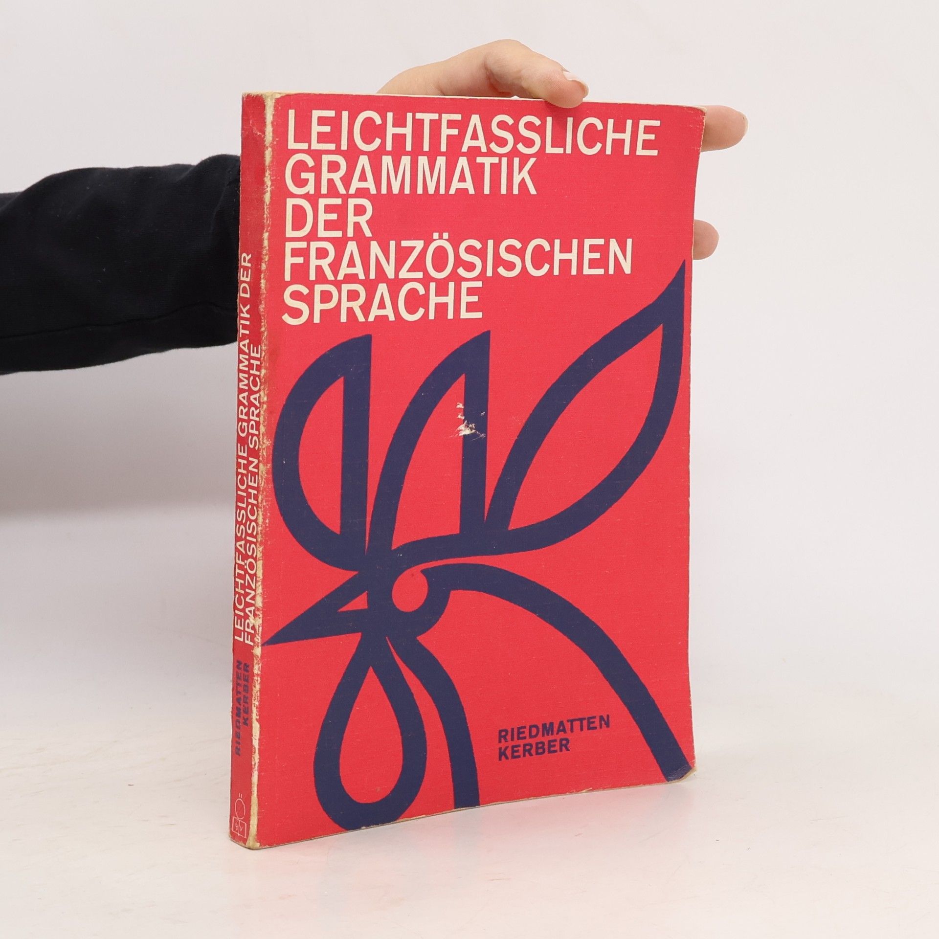 Antoinette de Riedmatten Leichfassliche Grammatik der französischen Sprache