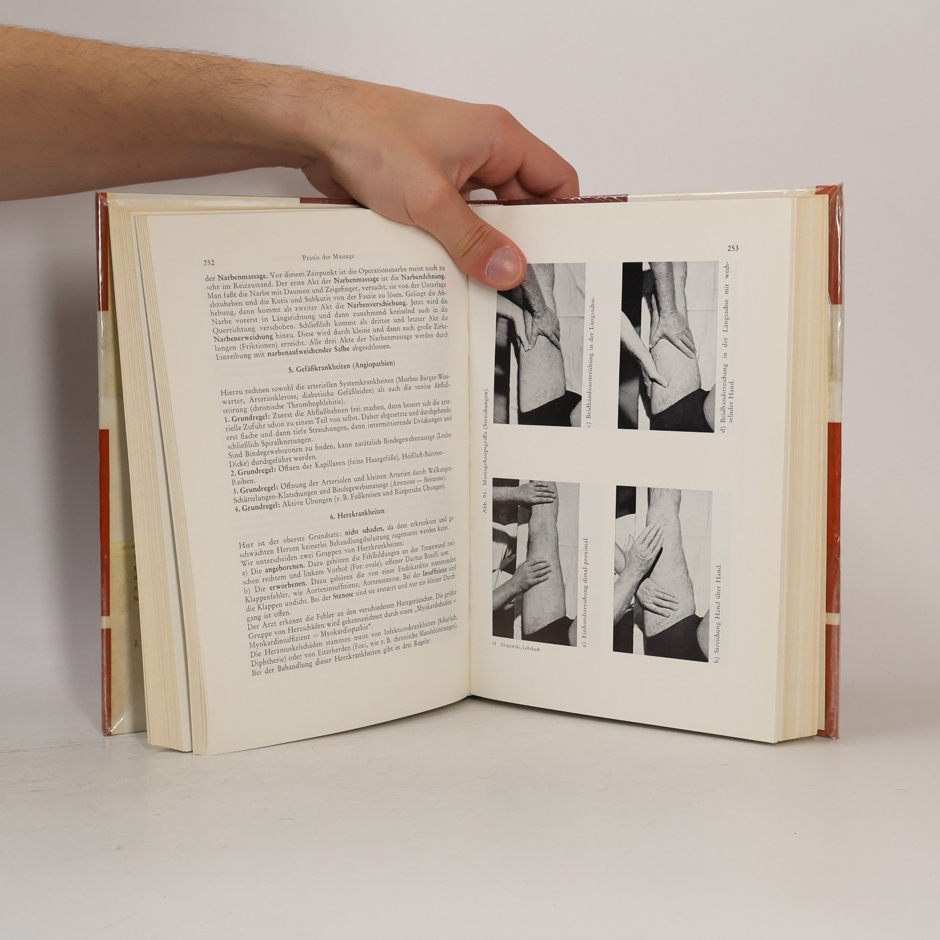 Georg Glogowski Lehrbuch für Masseure und medizinische Bademeister