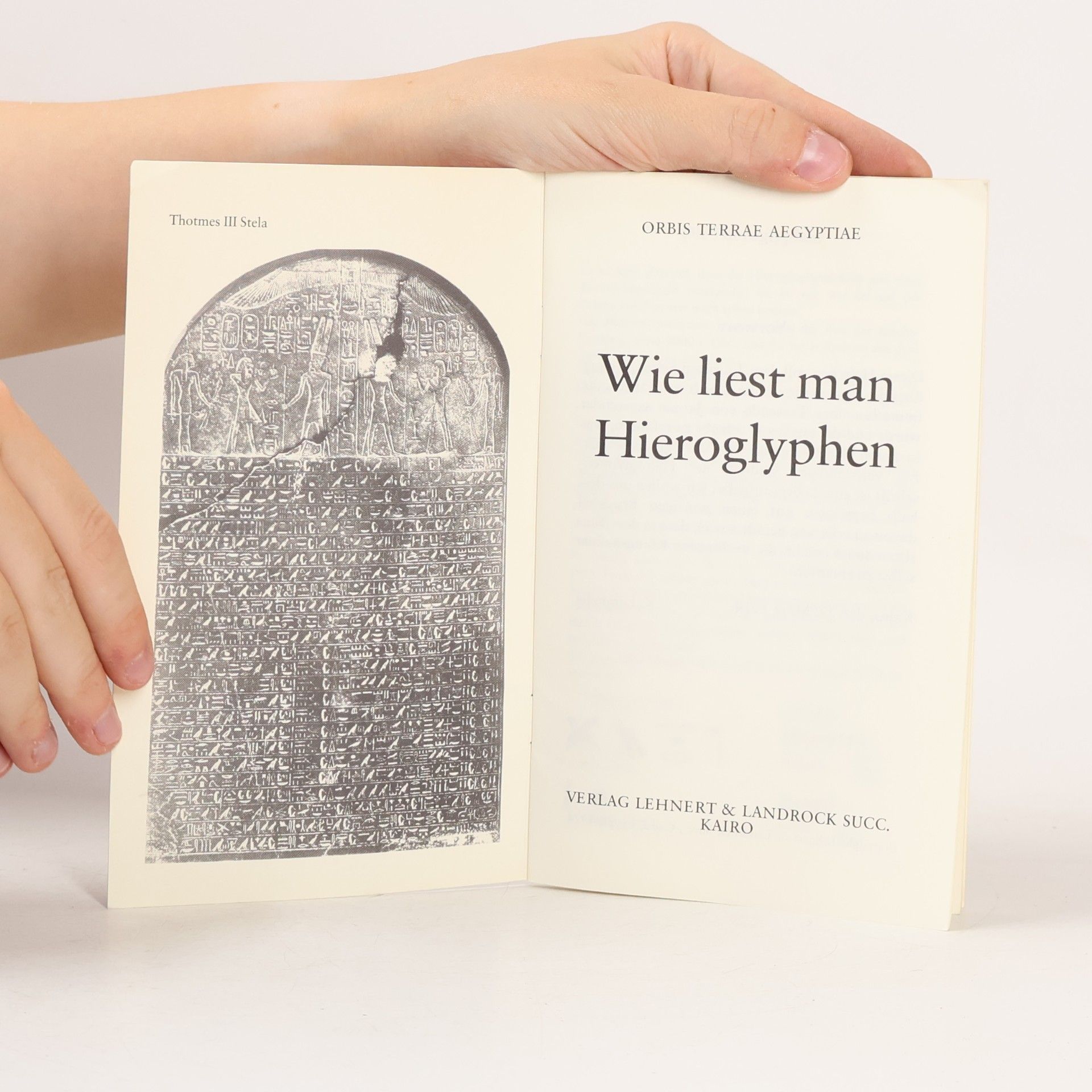 Autorenkollektiv Wie liest man Hieroglyphen