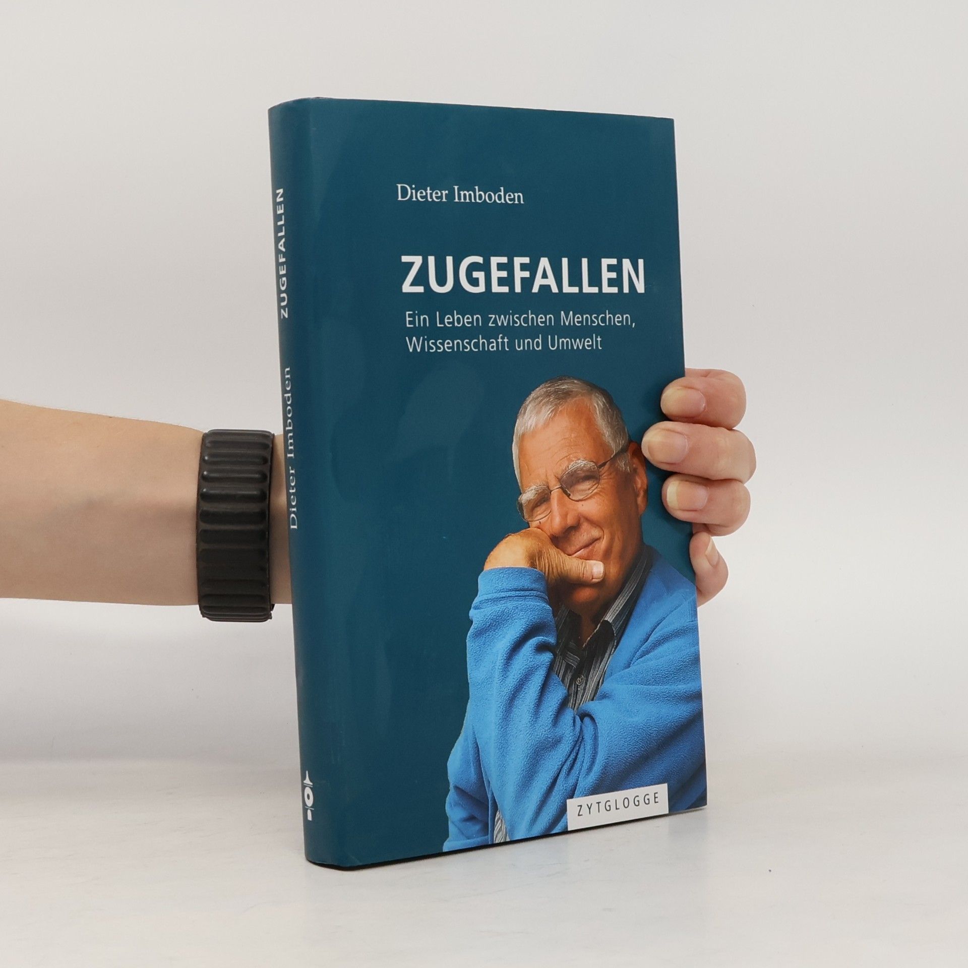 Dieter Imboden Zugefallen