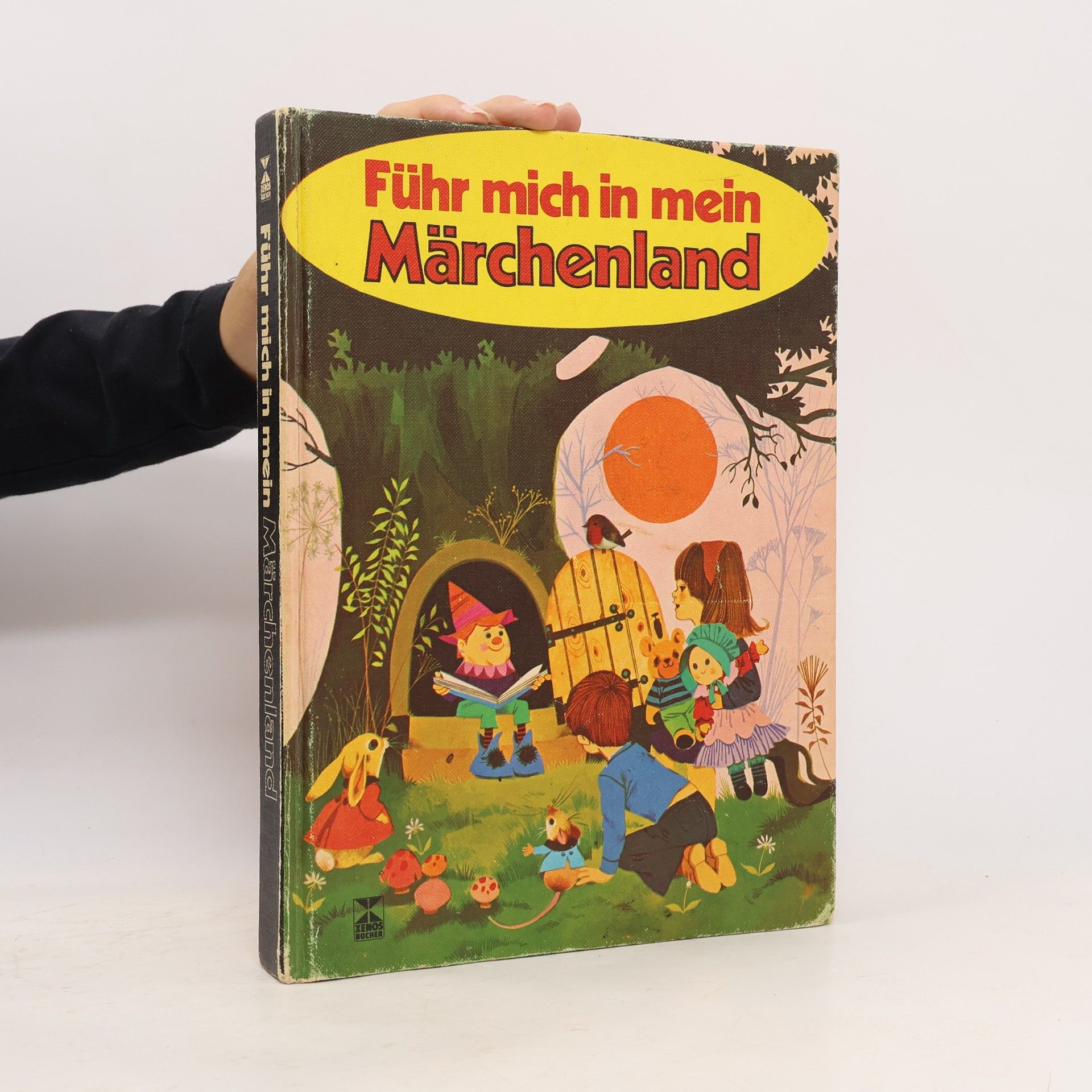 Various authors Führ mich in mein Märchenland