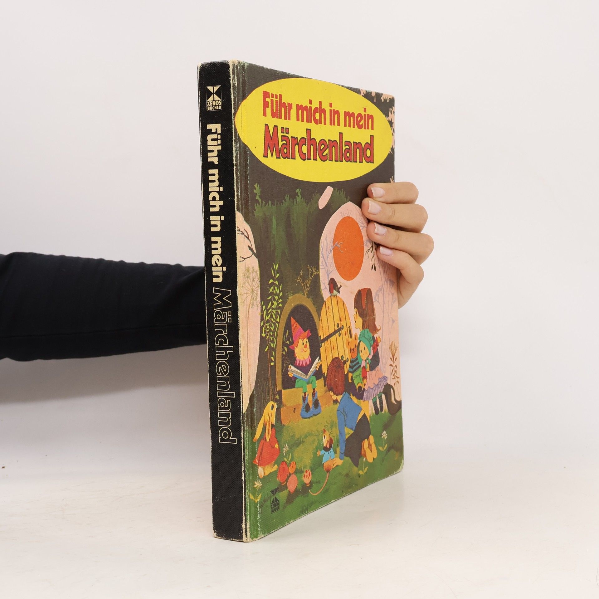 Autores varios Führ mich in mein Märchenland