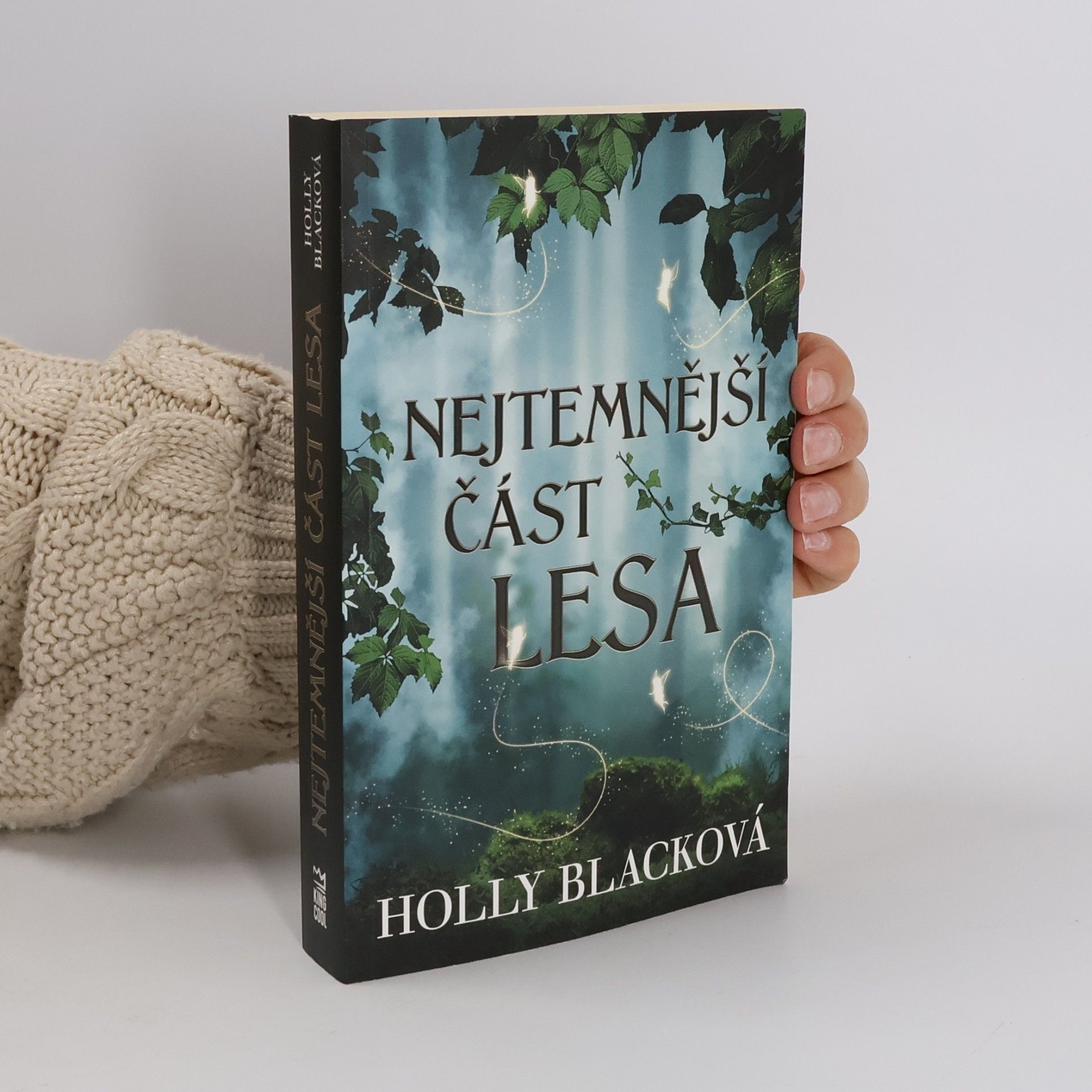 Holly Black Nejtemnější část lesa