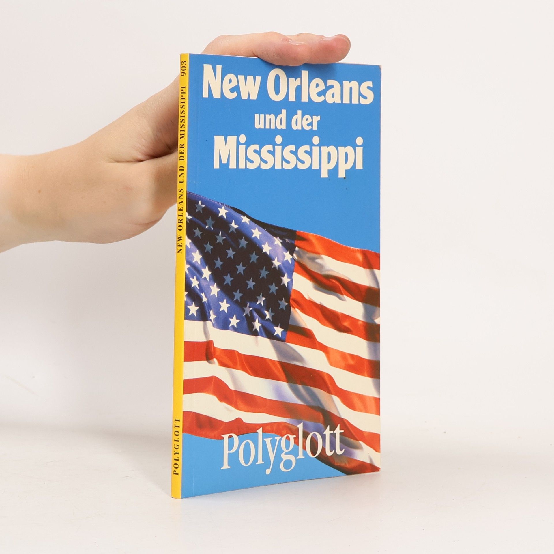 Wilhelm Voss-Gerling New Orleans und der Mississippi