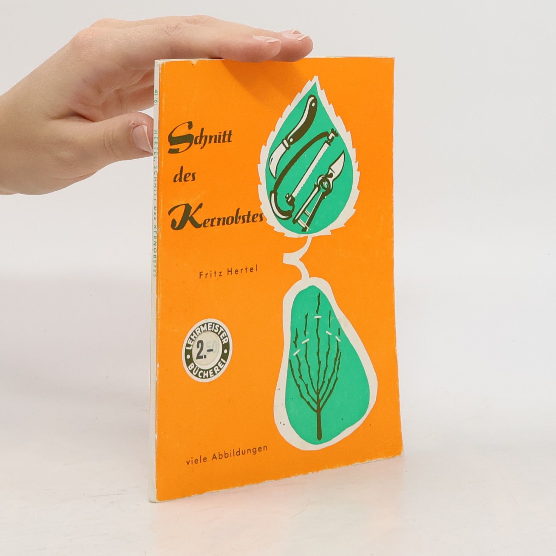 Schnitt des Kernobstes