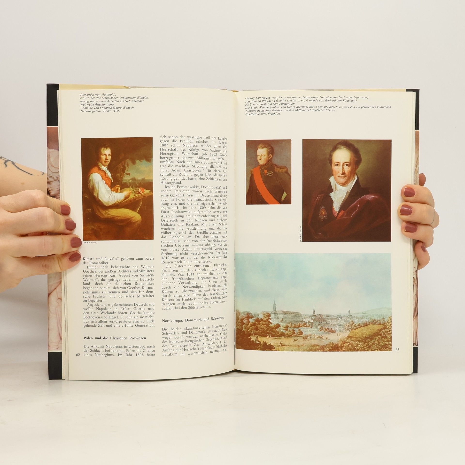 Kolektiv autorů Napoleon und seine Eroberungen. Der Zusammenbruch des Reiches