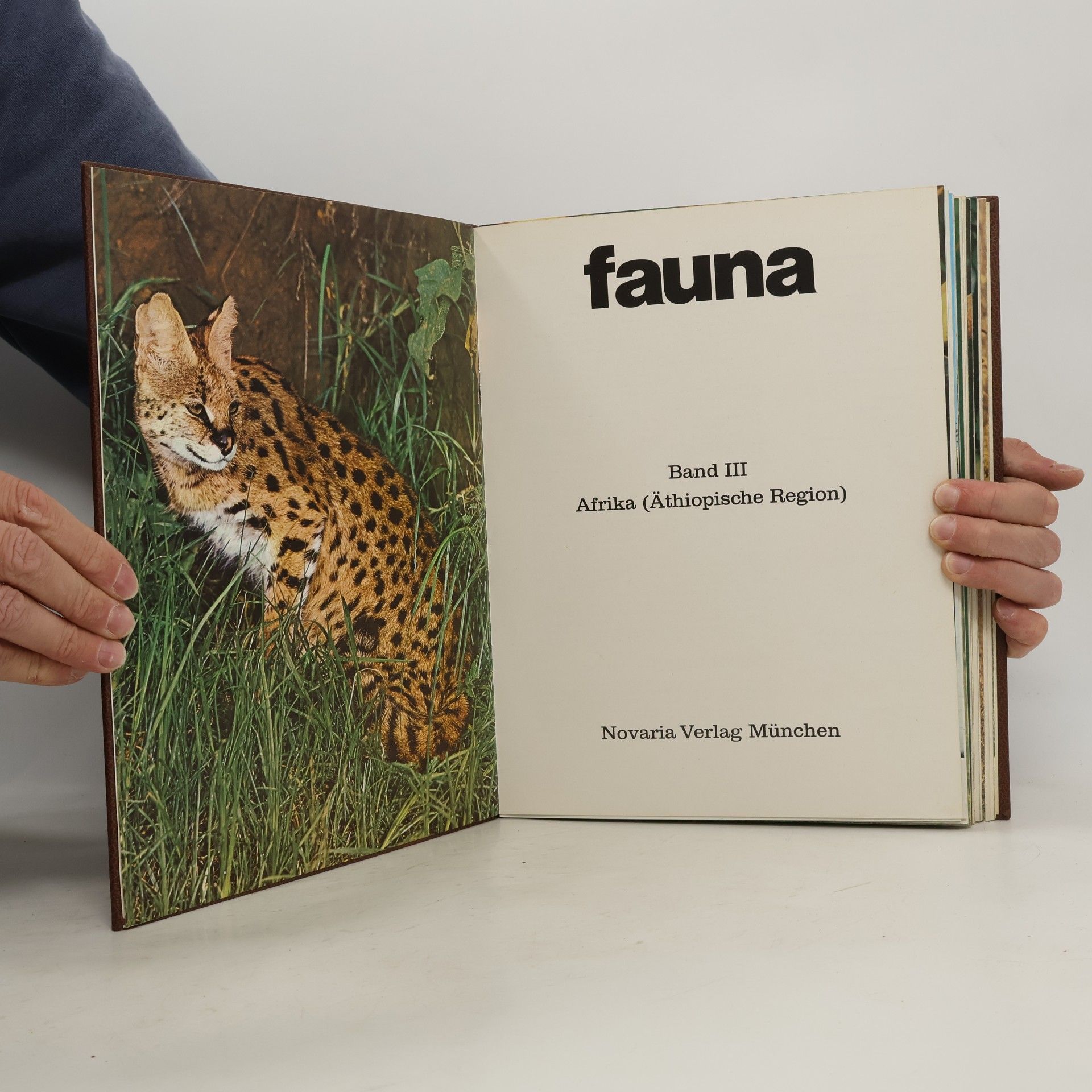 Auteurscollectief Fauna III, Afrika