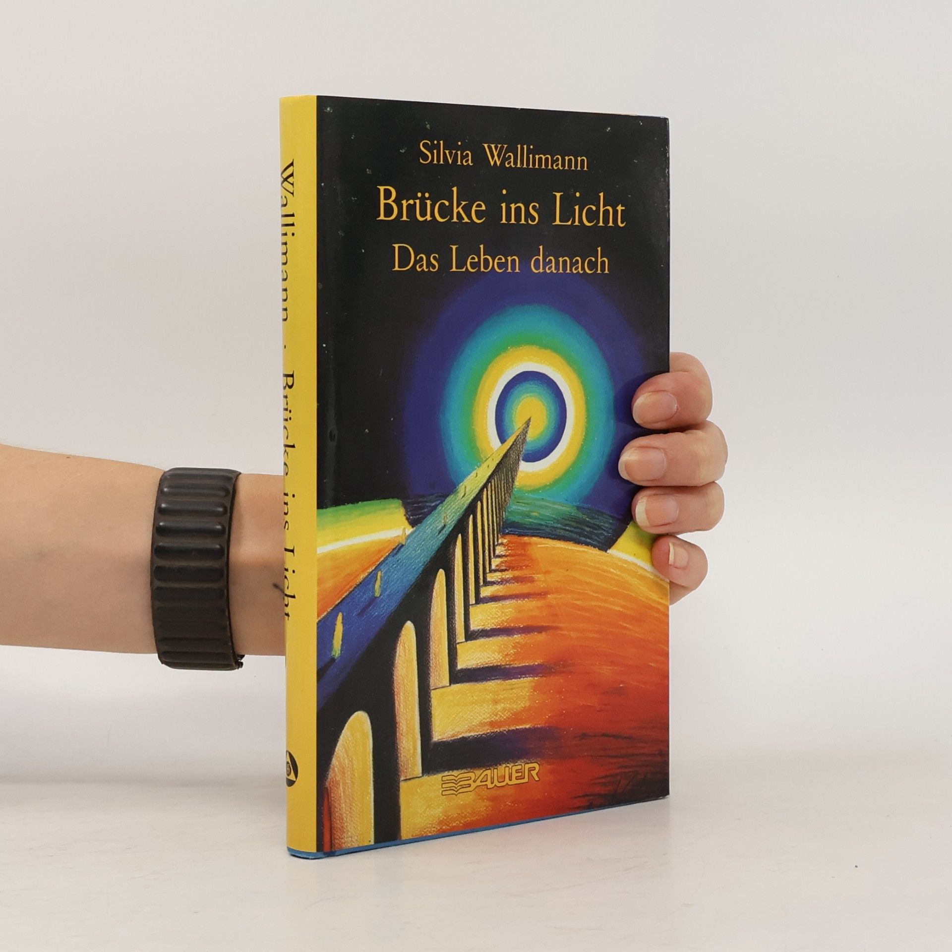 Silvia Wallimann Brücke ins Licht