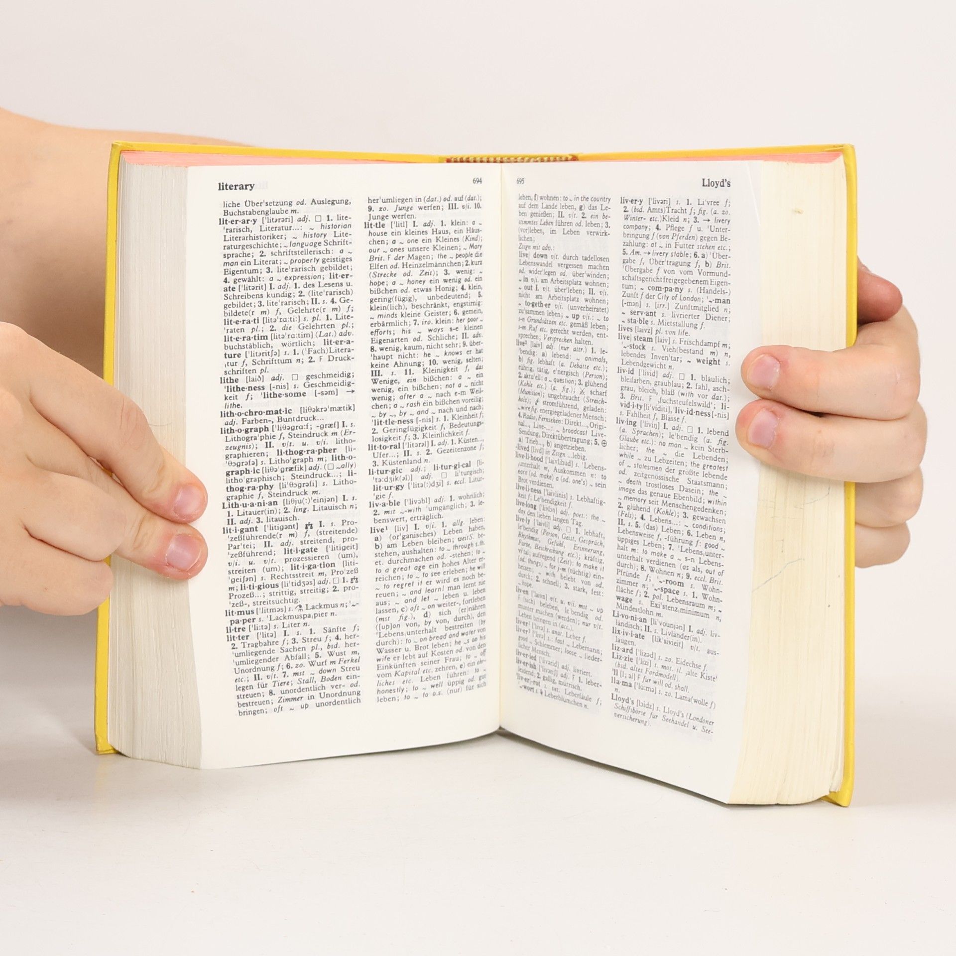 Kolektív autorov Langenscheidts Großes Schulwörterbuch Englisch-Deutsch