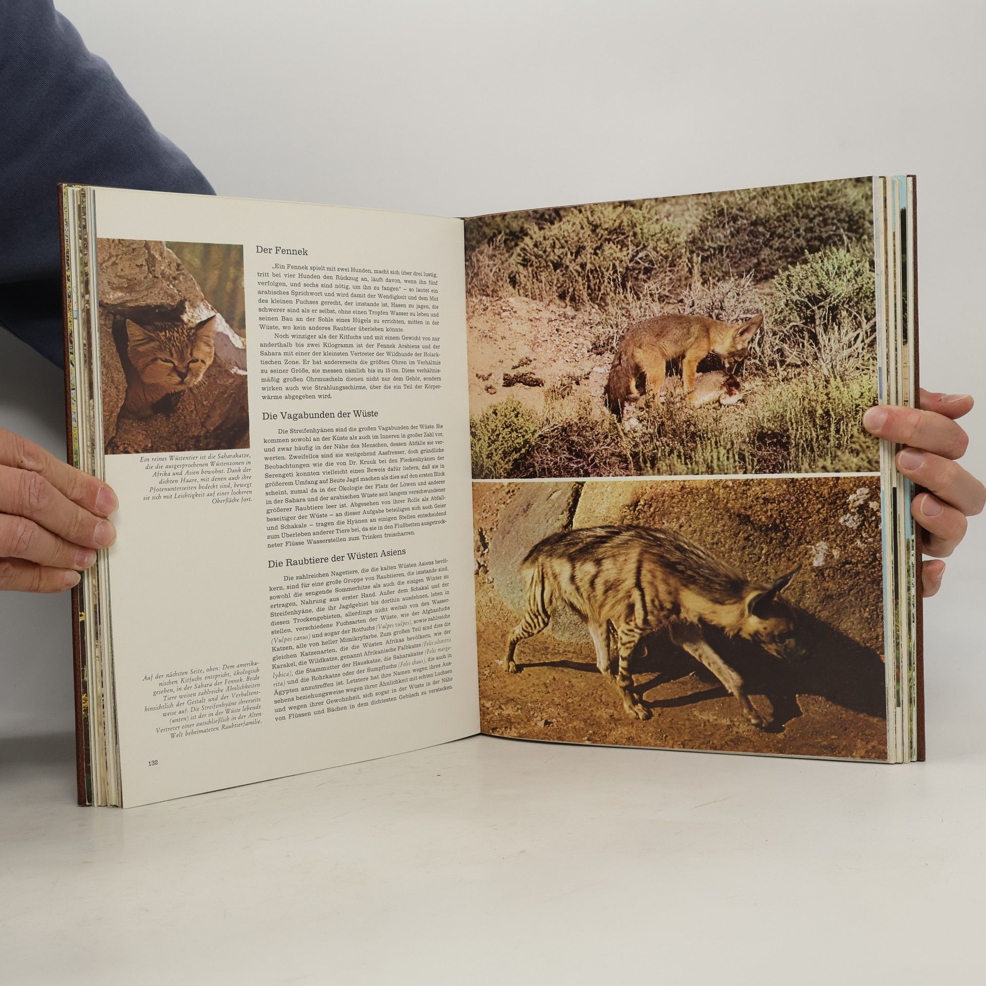Kolektiv autorů Fauna 4