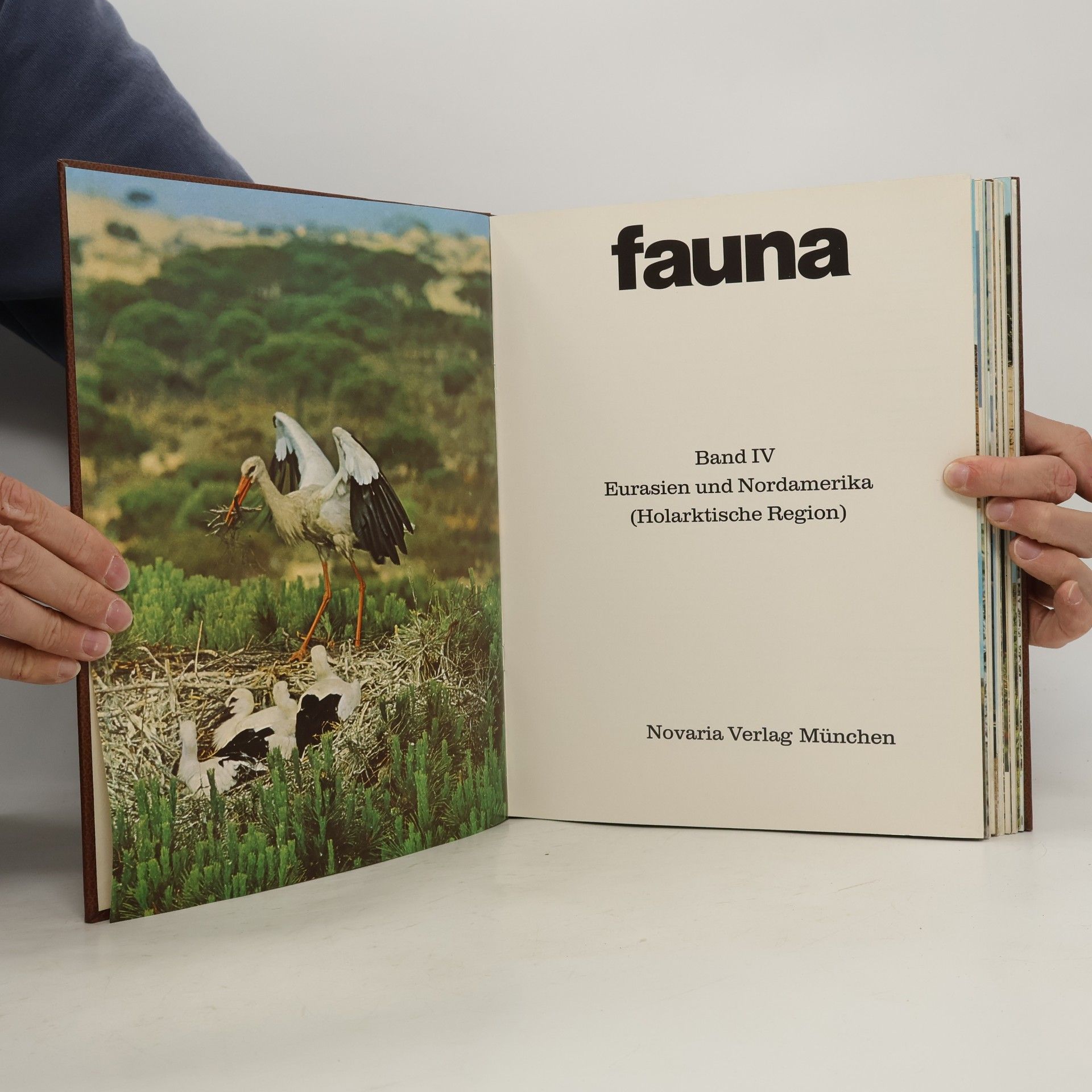 Kolektiv autorů Fauna 4