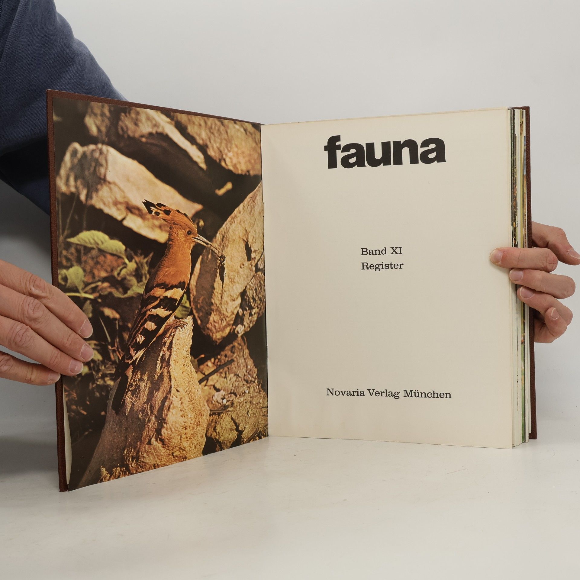 Autorenkollektiv Fauna 11