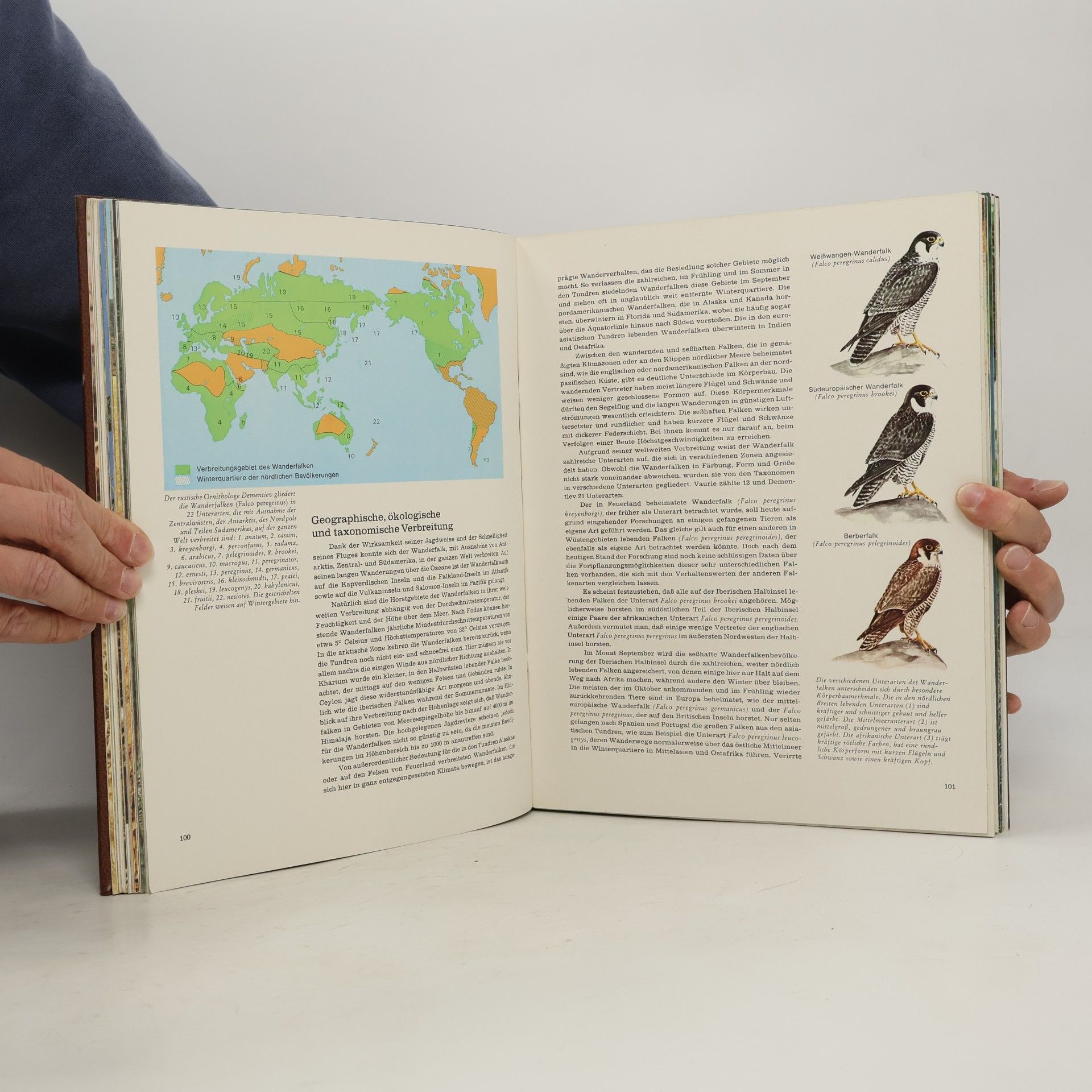 Jesús Mosterín Fauna 5. Eurasien und Nordamerika
