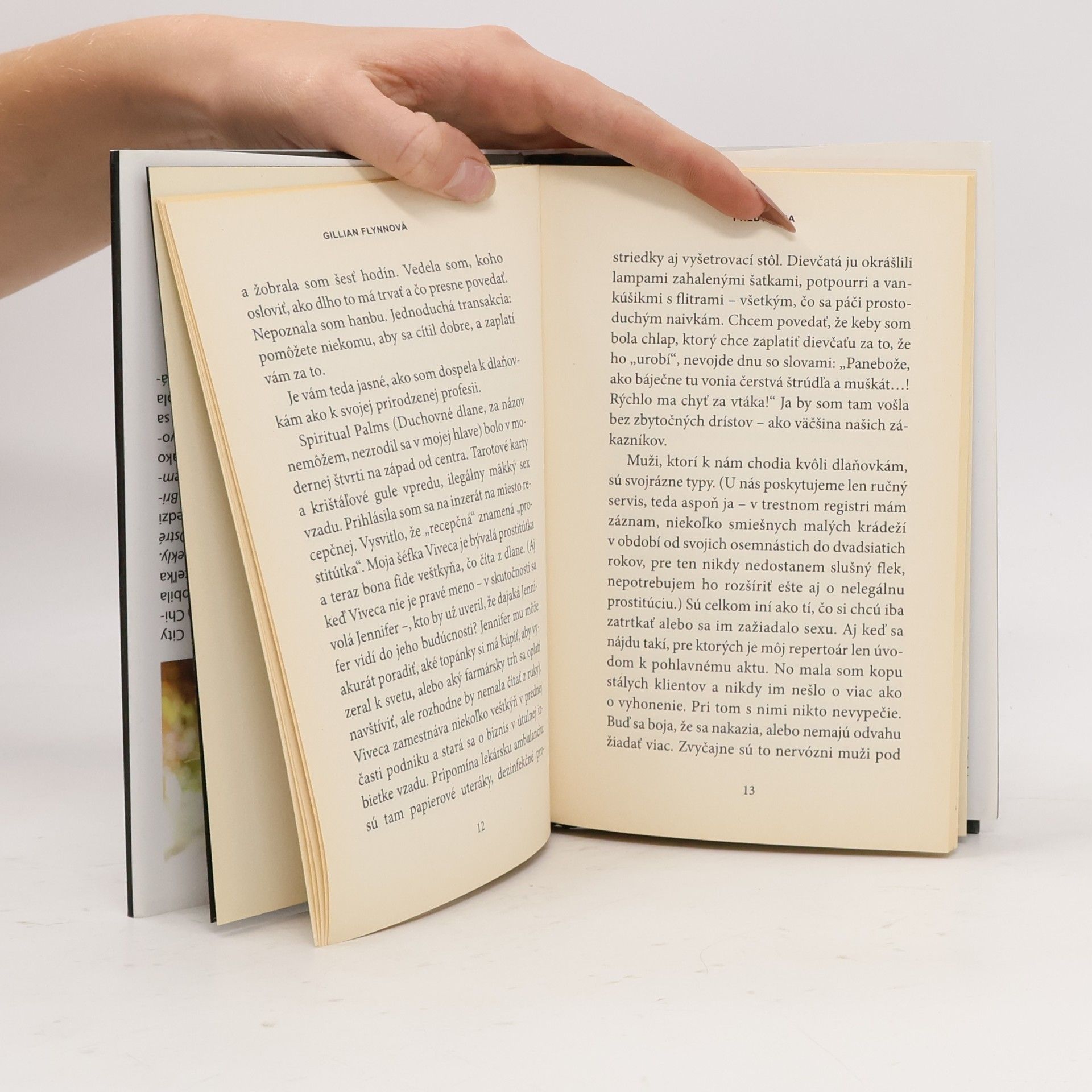 Gillian Flynn Predtucha