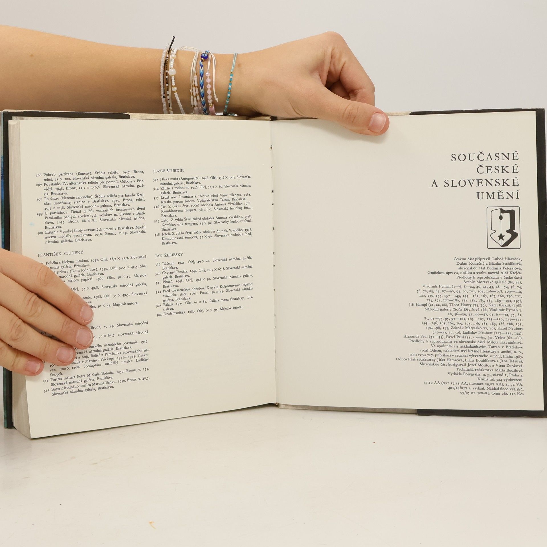Autorenkollektiv Současné české a slovenské umění