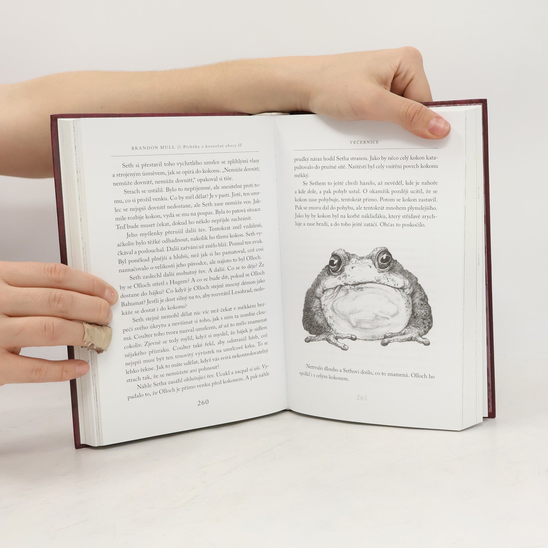 Brandon Mull Příběhy z kouzelné obory II: Večernice