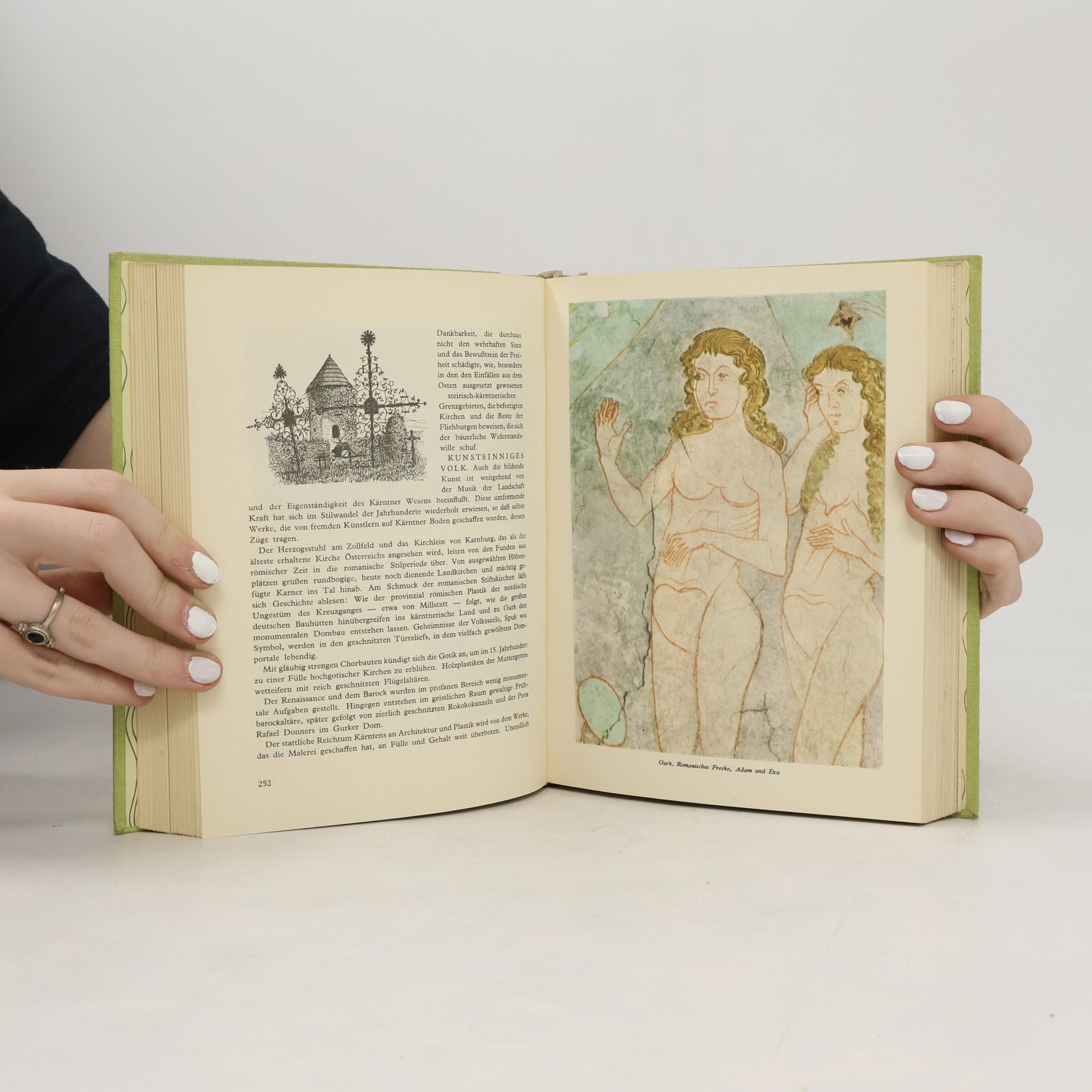 Autorenkollektiv Das Österreichbuch