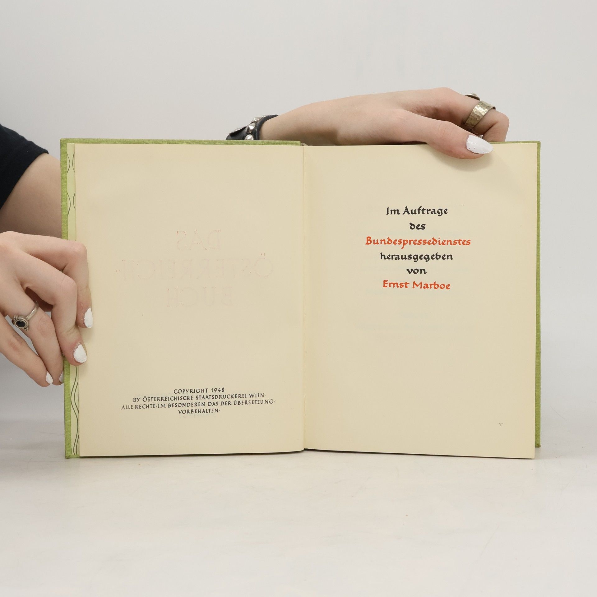 Autorenkollektiv Das Österreichbuch