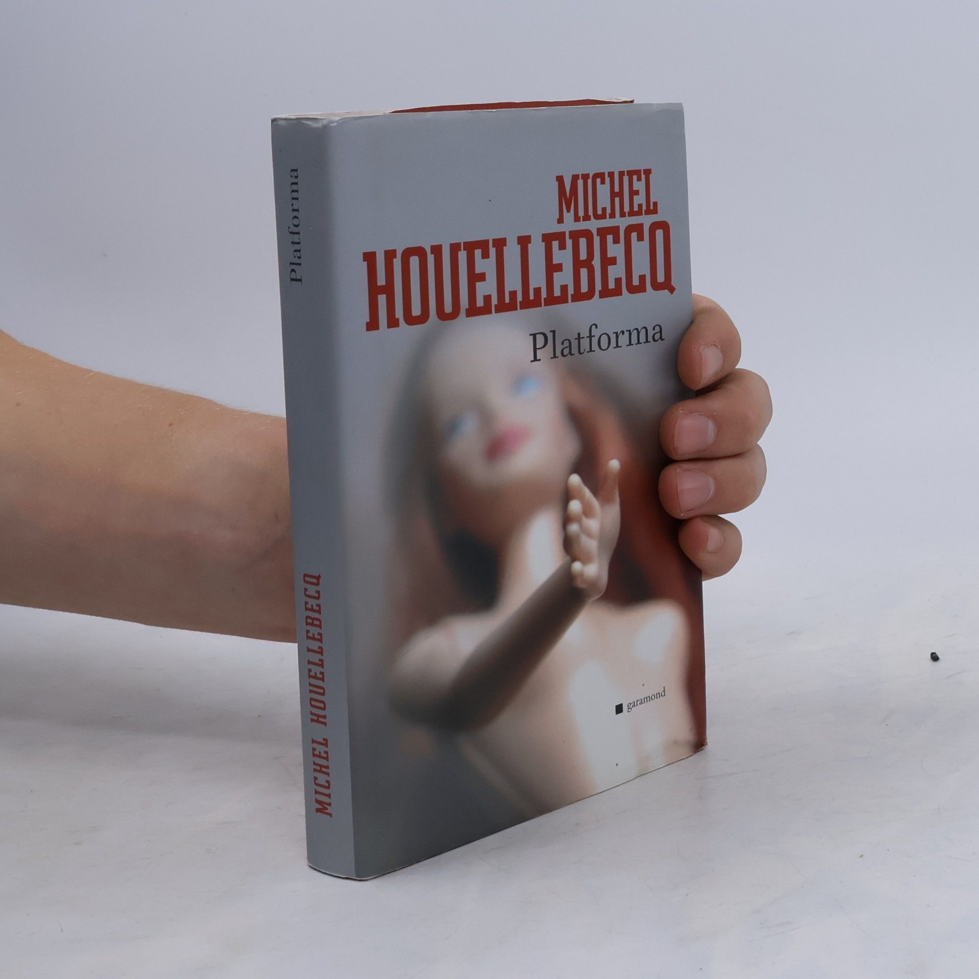 Michel Houellebecq Platforma: Uprostřed světa