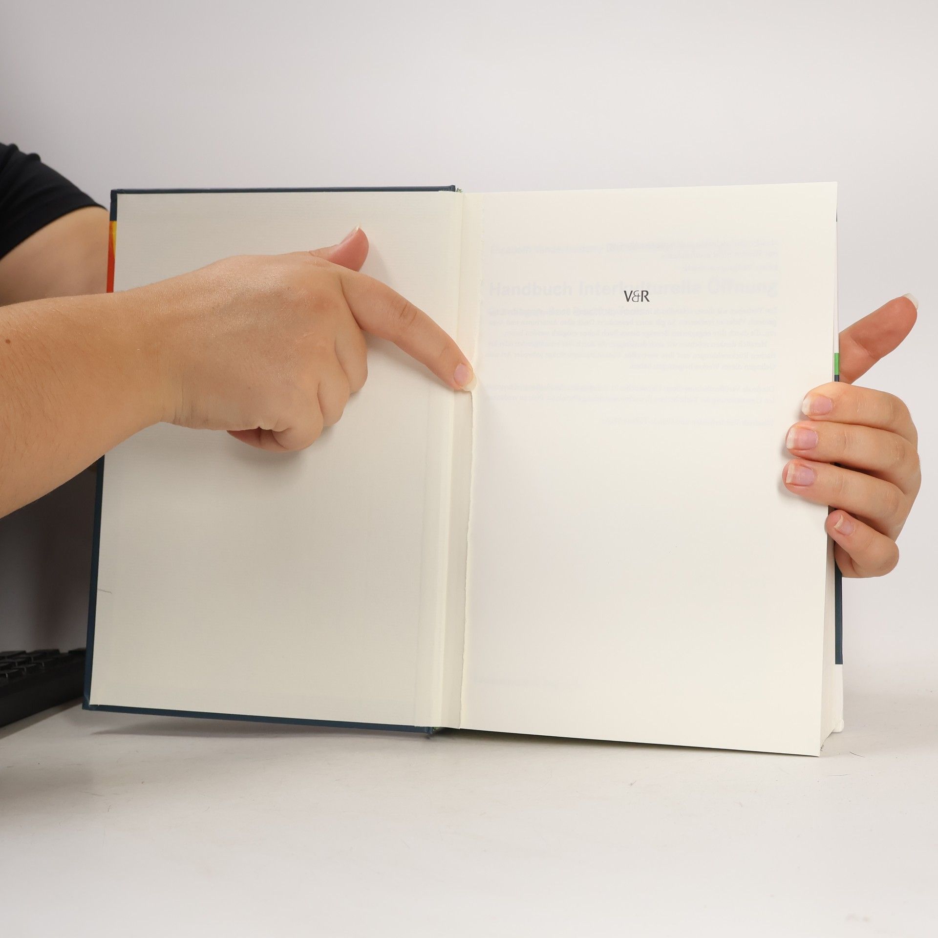 Elisabeth Vanderheiden Handbuch Interkulturelle Öffnung
