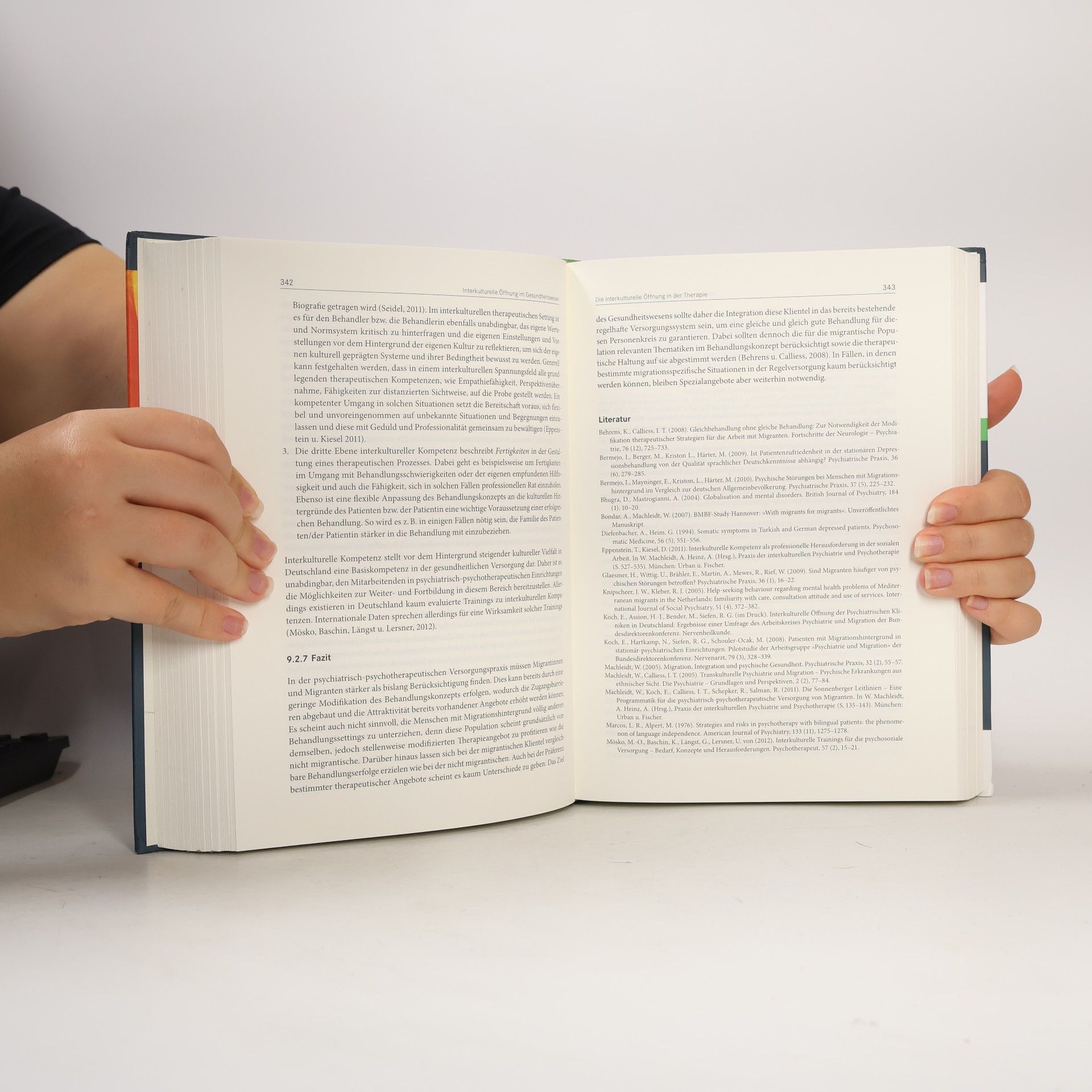 Elisabeth Vanderheiden Handbuch Interkulturelle Öffnung