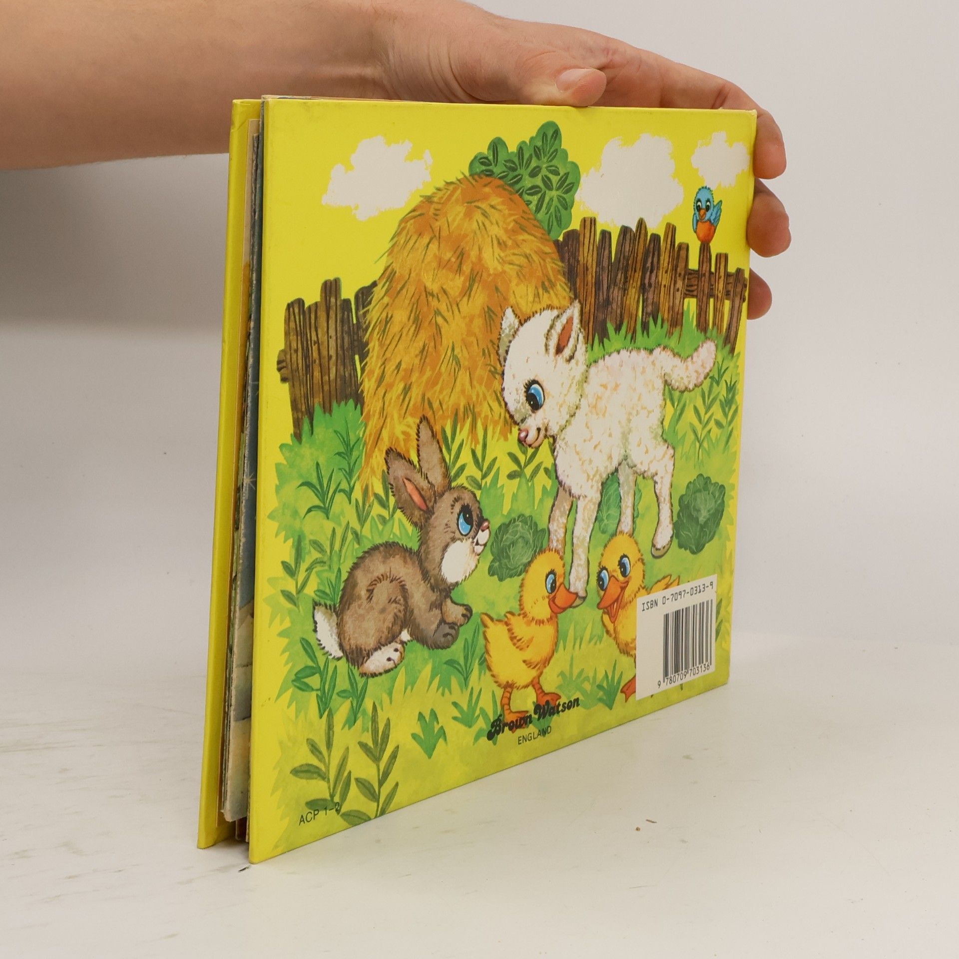 Kolektív autorov My Pop-up Book